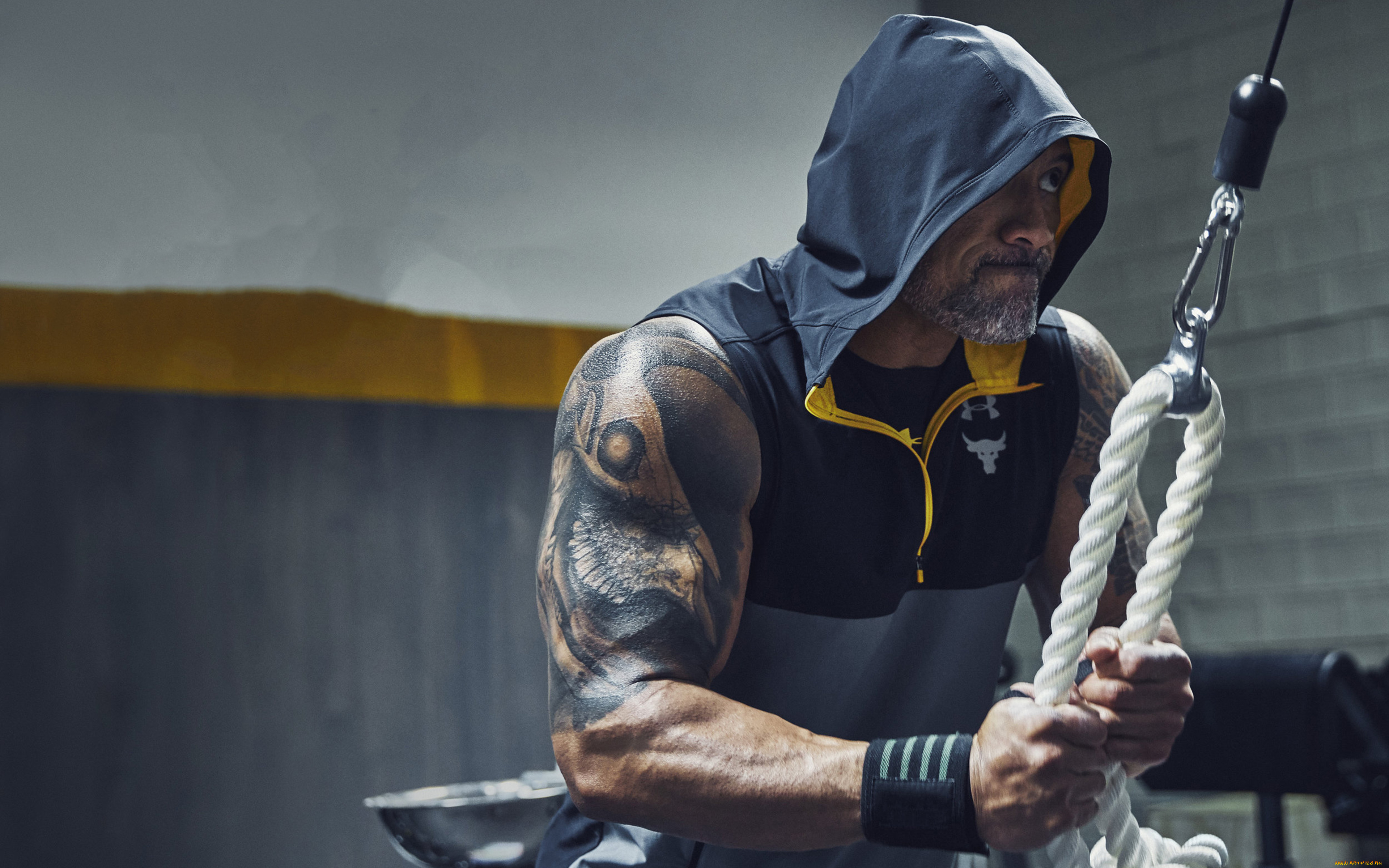 мужчины, dwayne, johnson, , the, rock, актер, капюшон, тату, тренажер