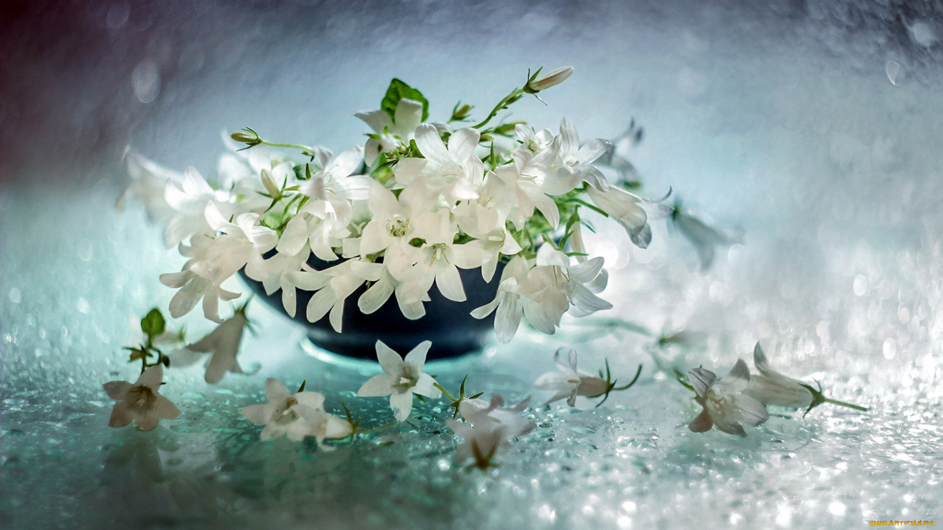 цветы, колокольчики, ваза, белые