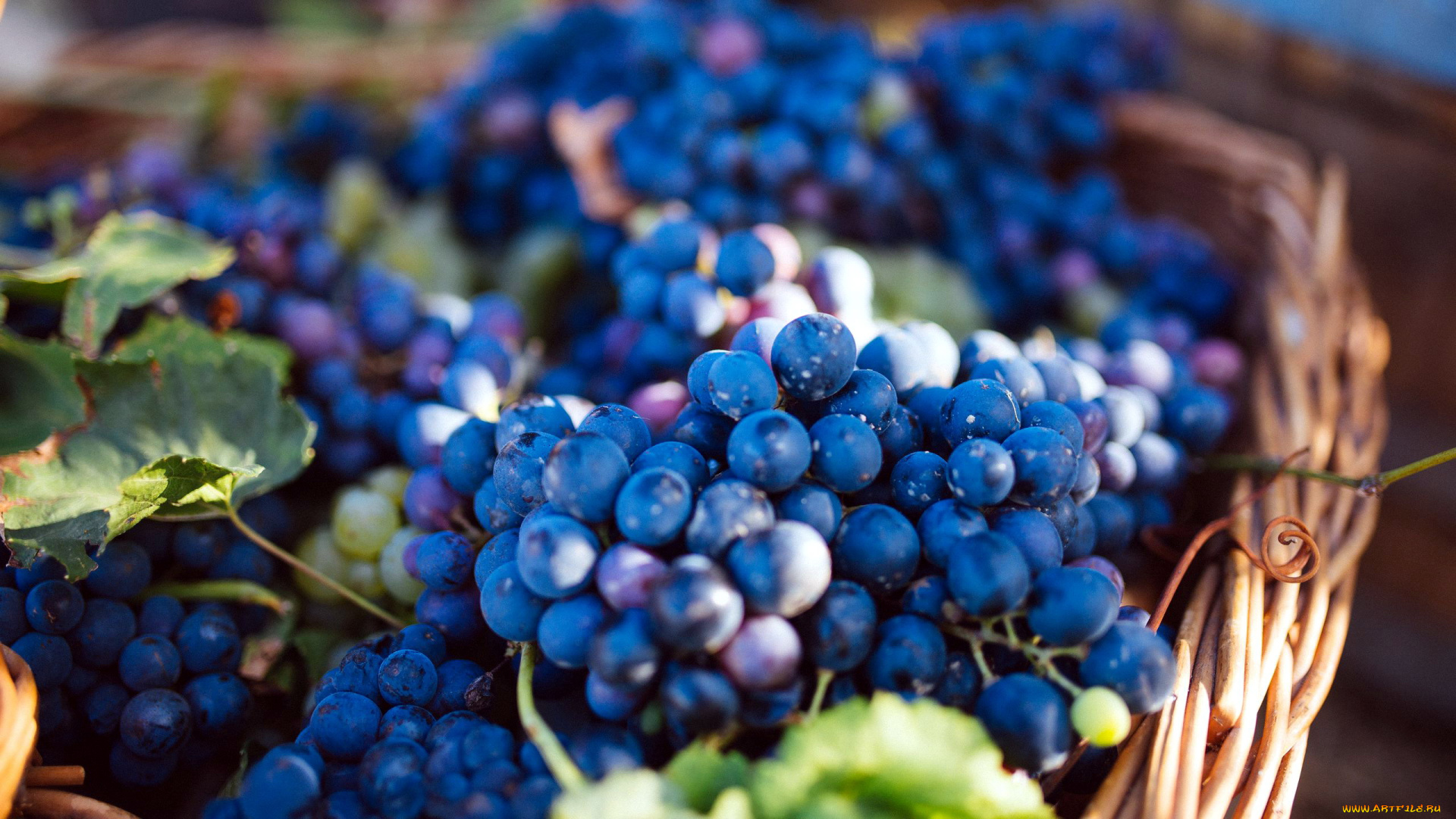 еда, виноград, корзинка, ягоды