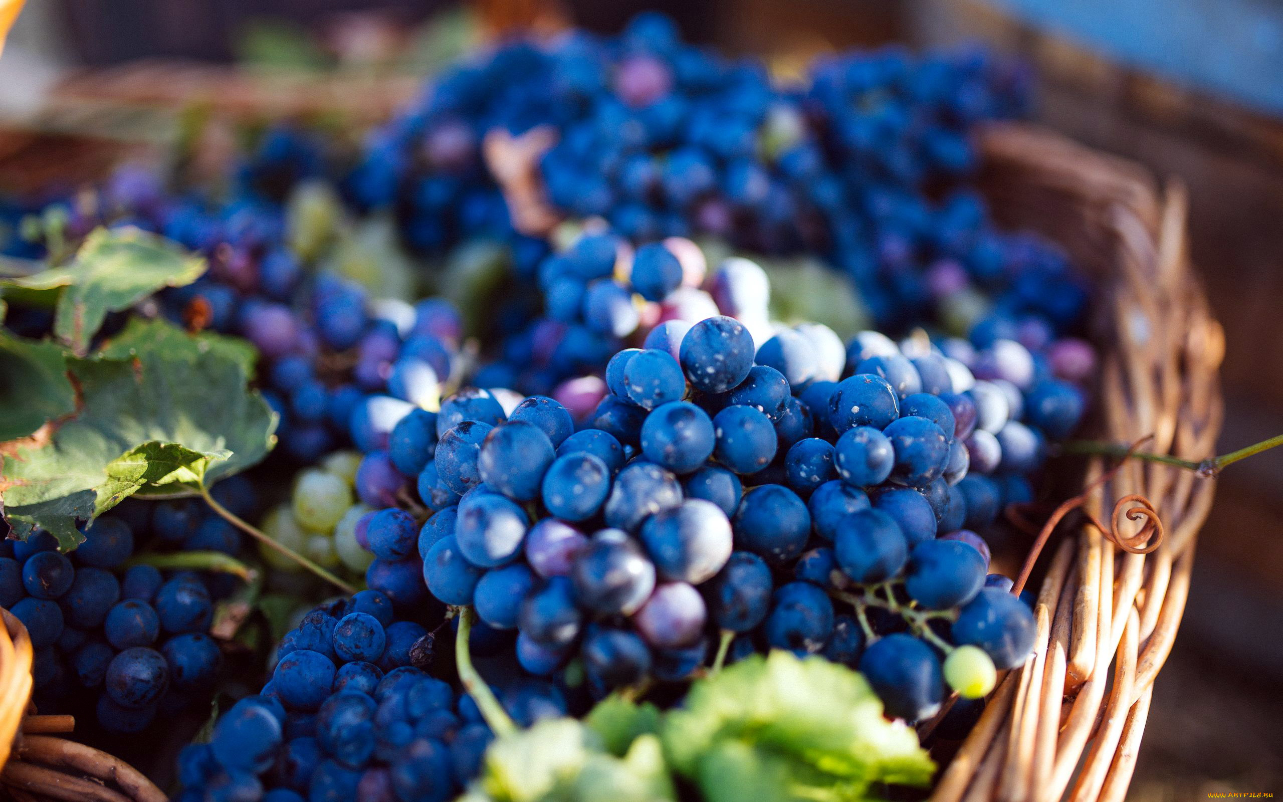 еда, виноград, корзинка, ягоды