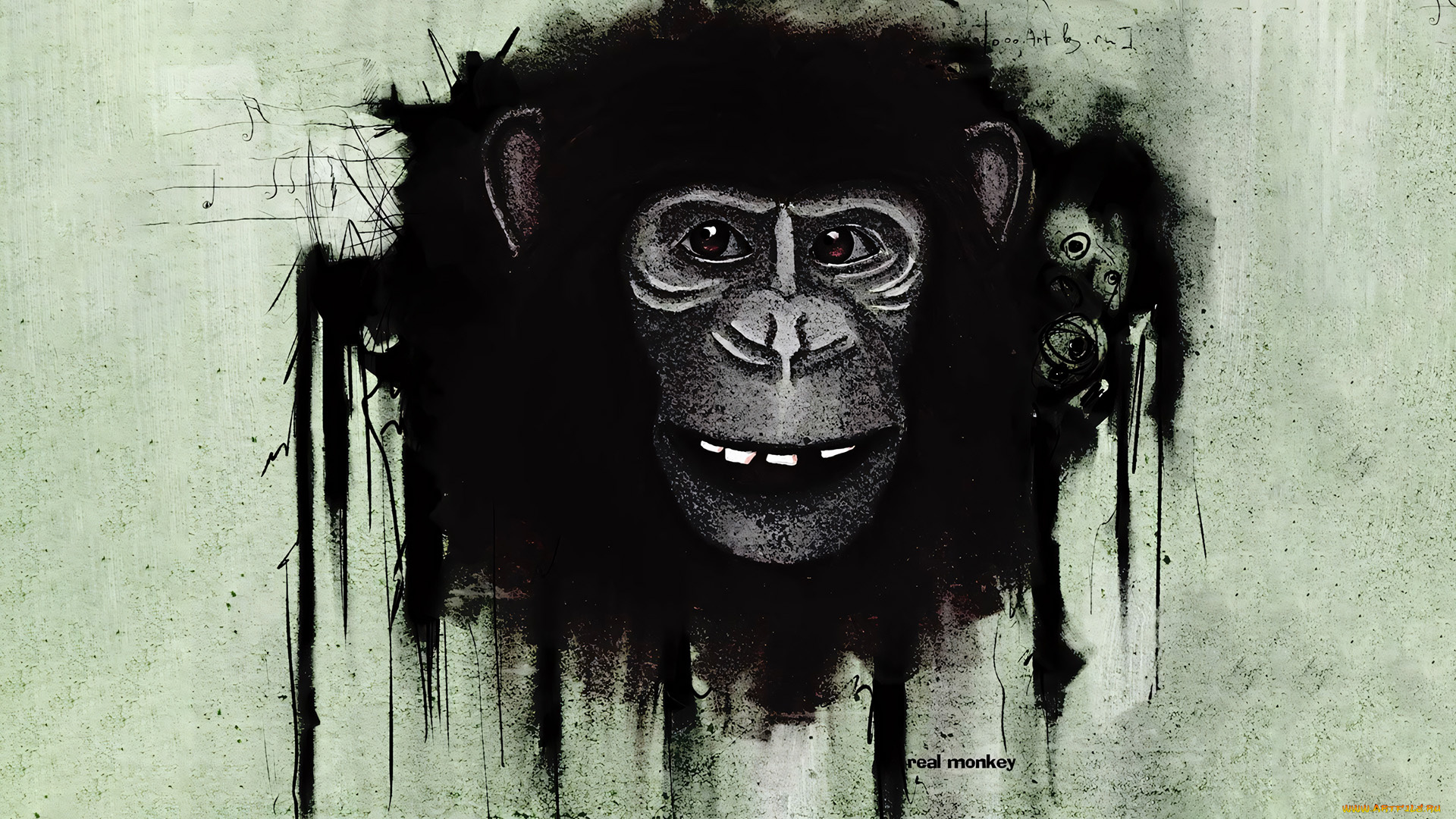 295741, рисованное, животные, , обезьяны, обезьяна