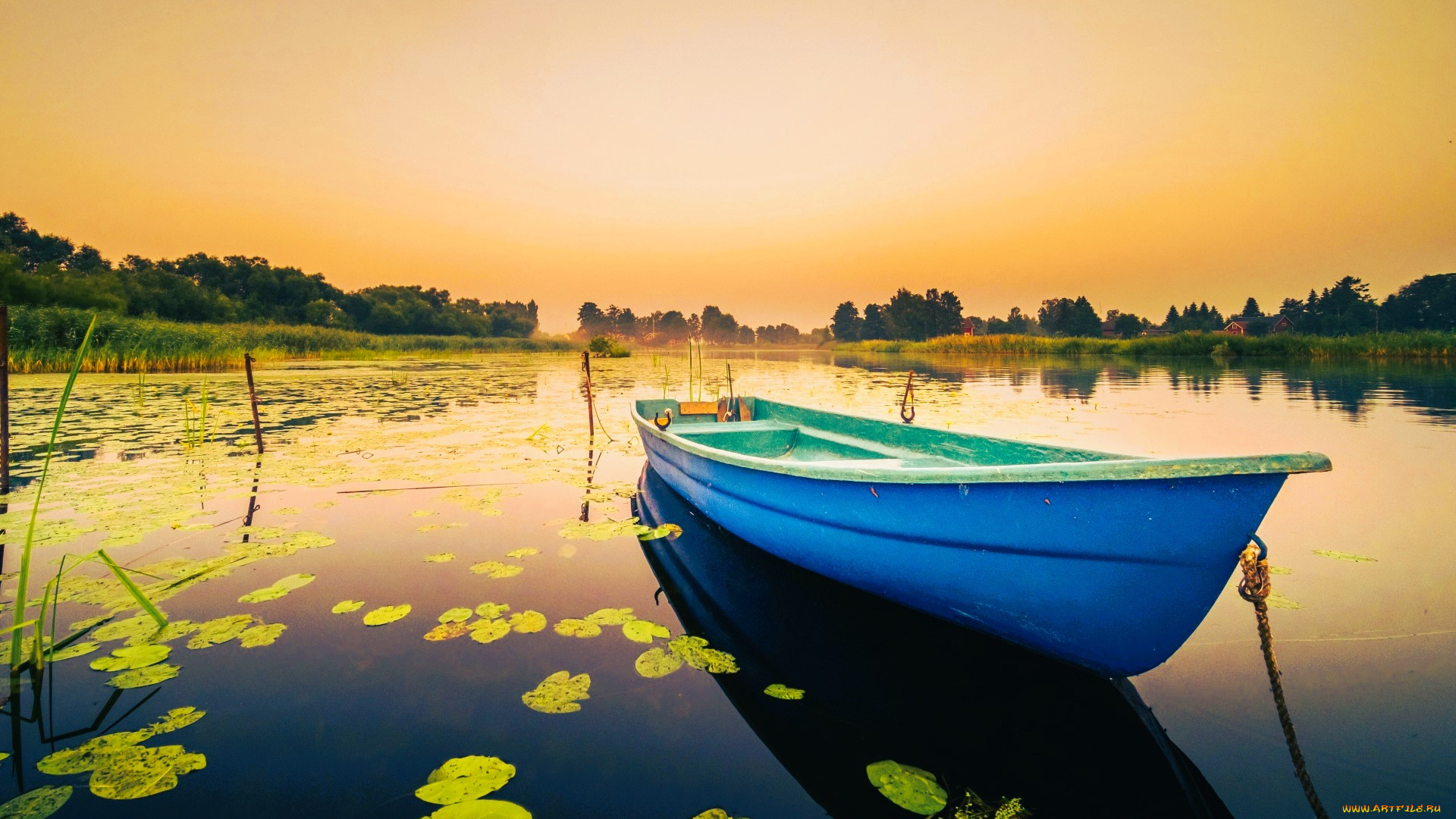корабли, лодки, , шлюпки, лодка, озеро, камыши, листья, закат, деревья