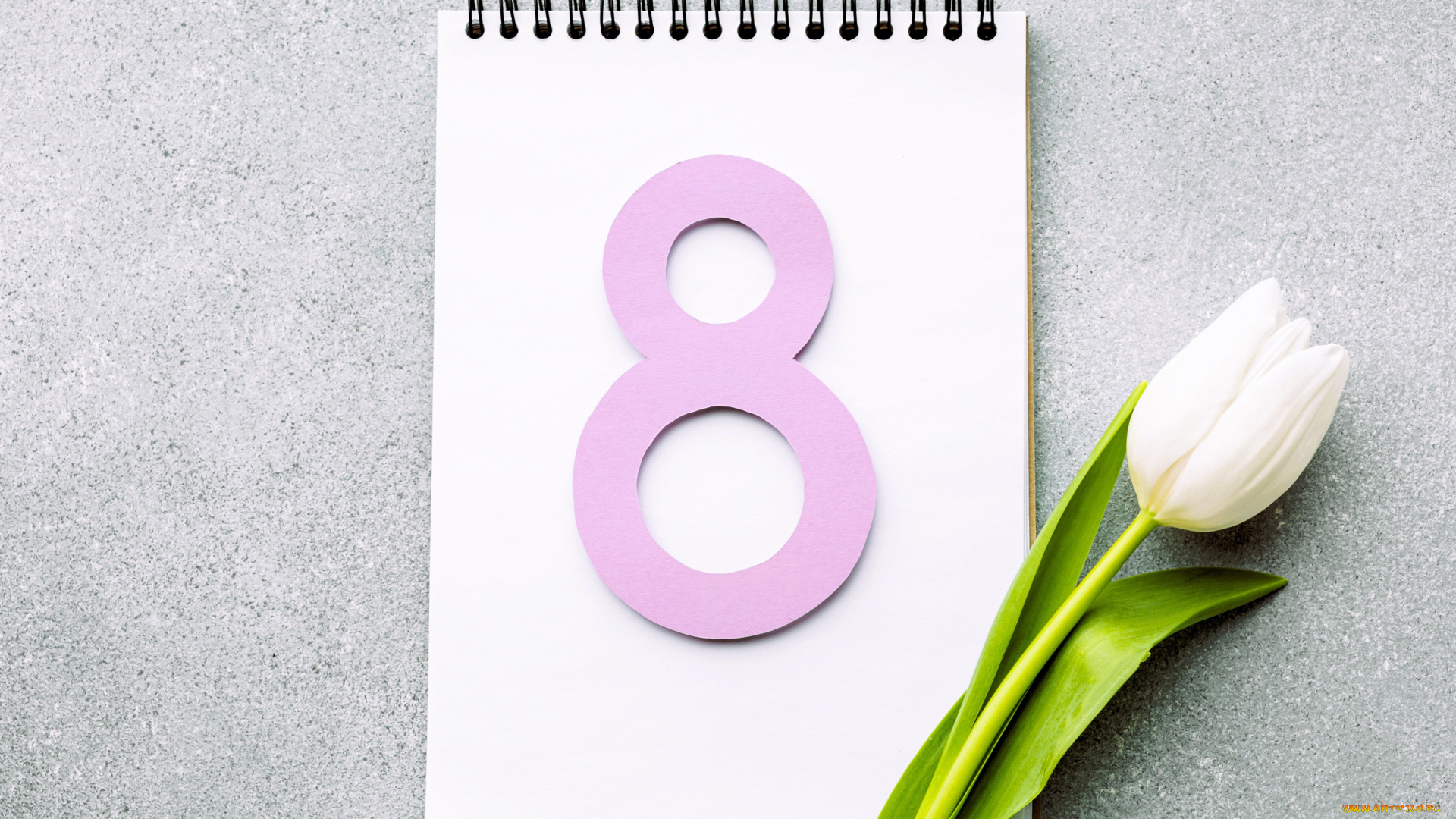 праздничные, международный, женский, день, -, 8, марта, цифра, блокнот, тюльпан