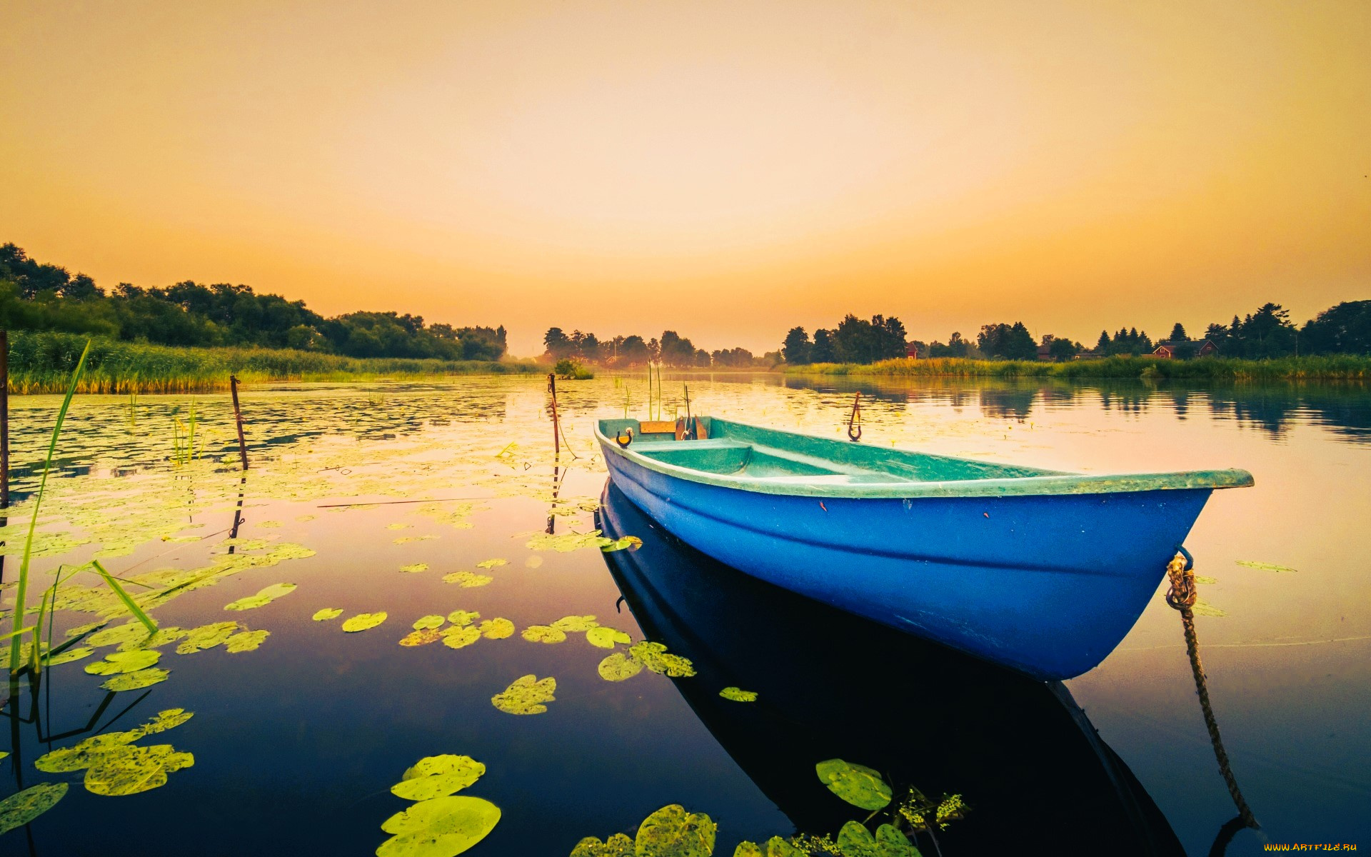 корабли, лодки, , шлюпки, лодка, озеро, камыши, листья, закат, деревья