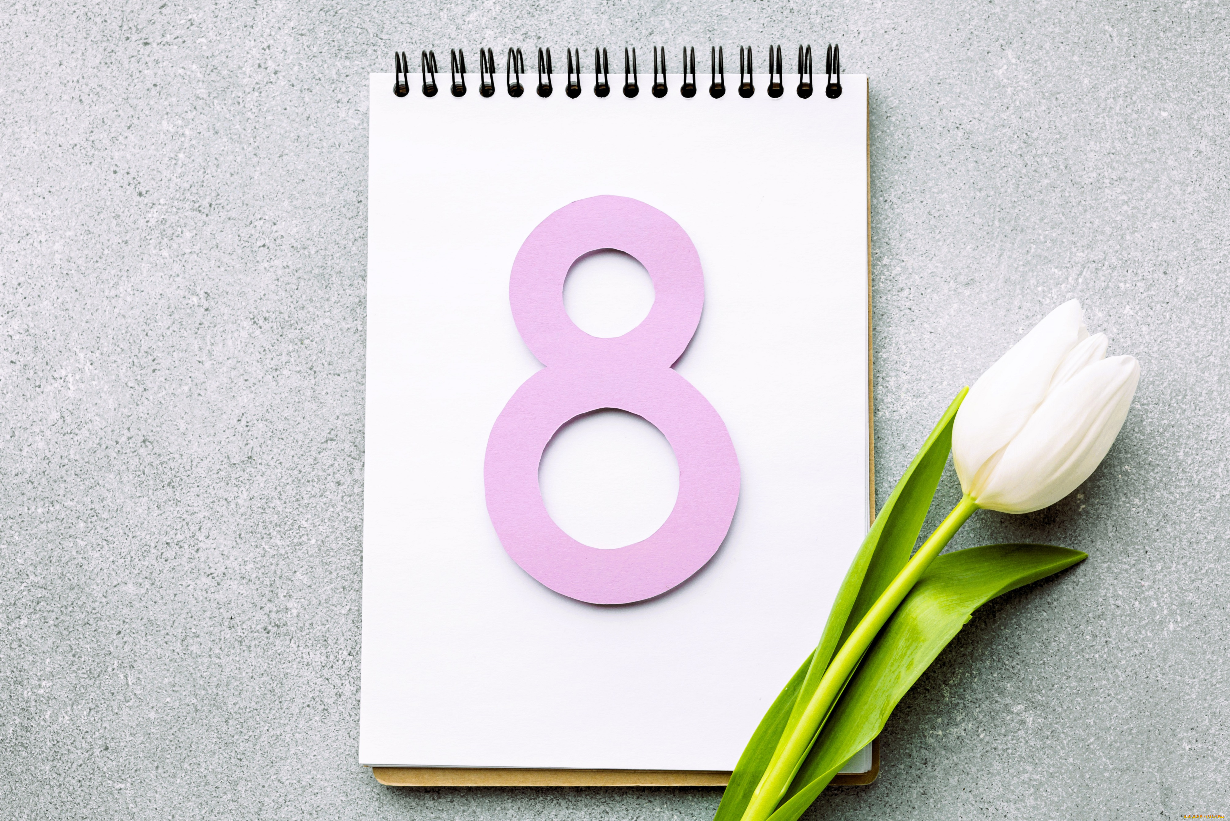 праздничные, международный, женский, день, -, 8, марта, цифра, блокнот, тюльпан