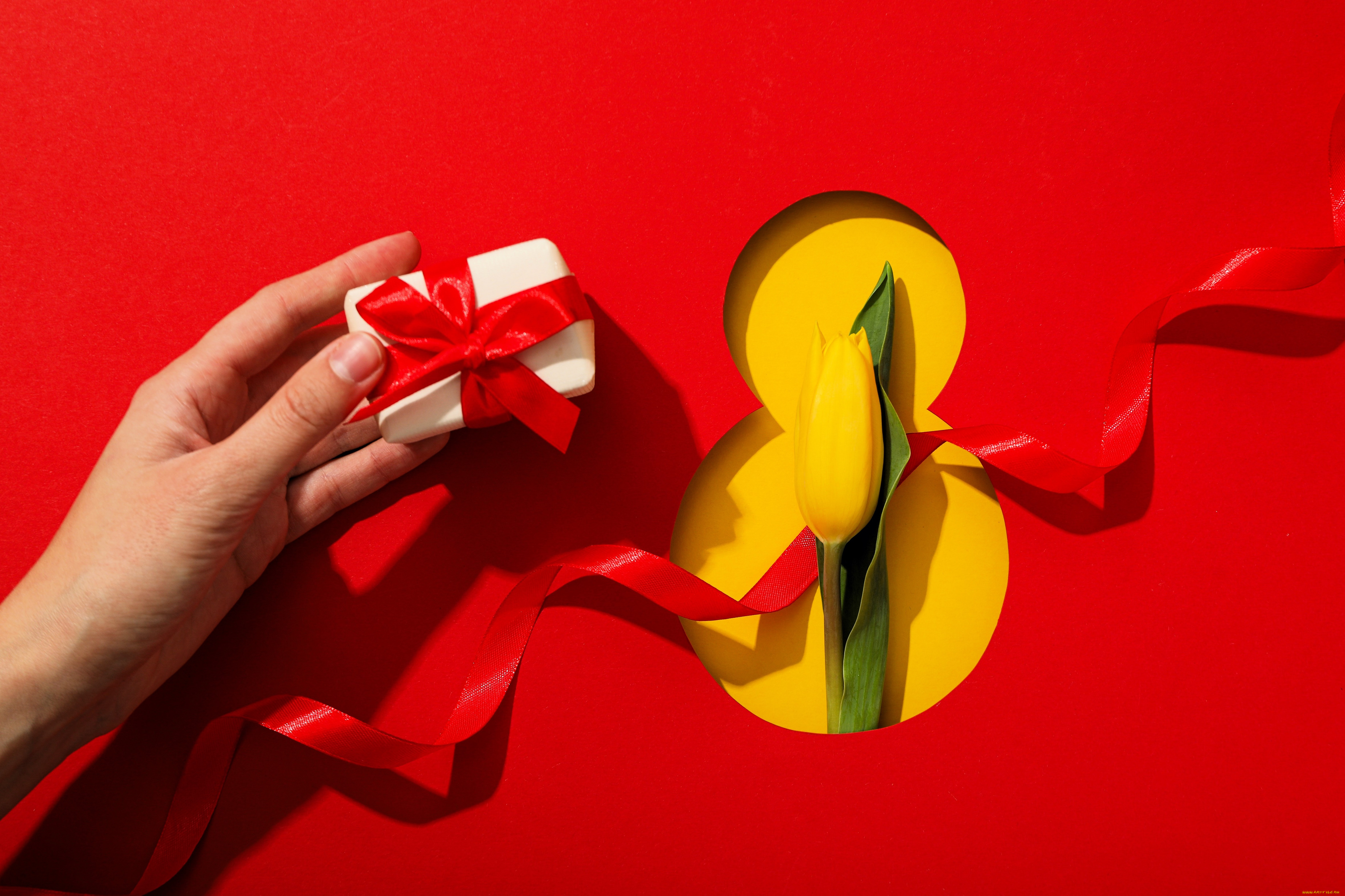 праздничные, международный, женский, день, -, 8, марта, рука, подарок, цифра, лента, тюльпан