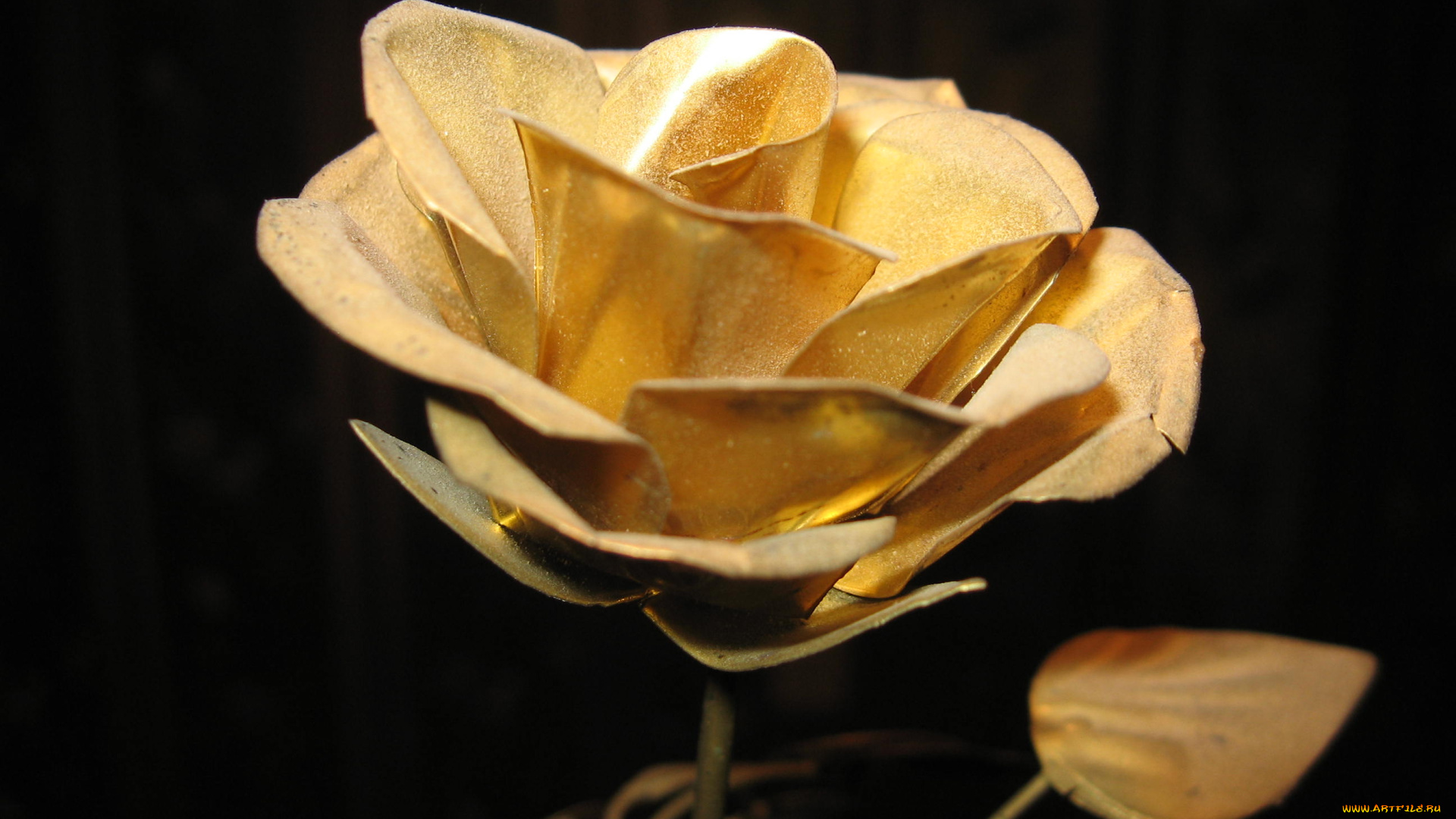 золотая, роза, 3д, графика, flowers, цветы