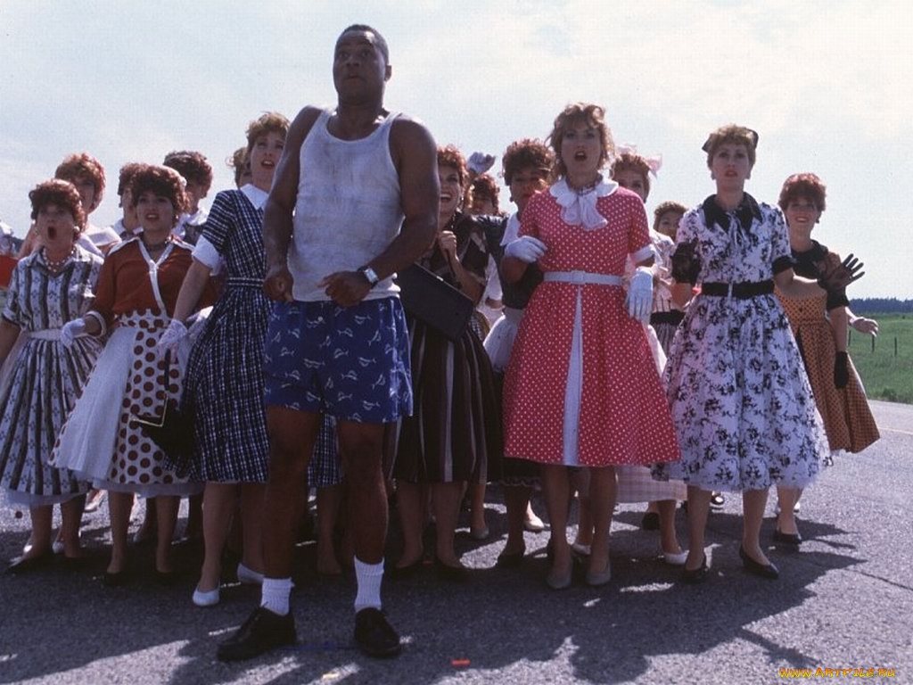 крысиннаЯ, гонка, кино, фильмы, rat, race