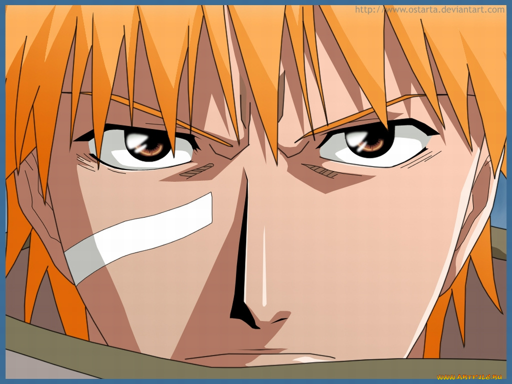 аниме, bleach