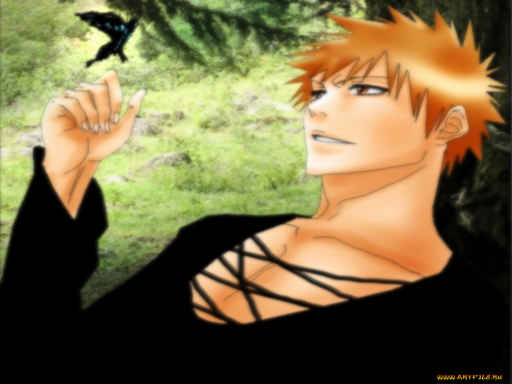 аниме, bleach