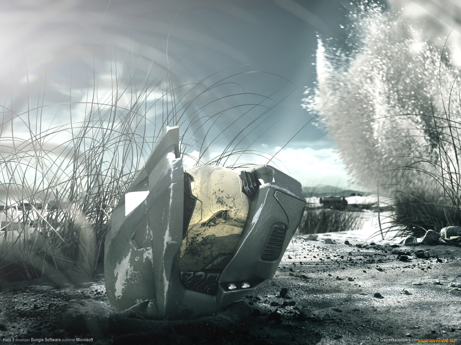 halo, видео, игры