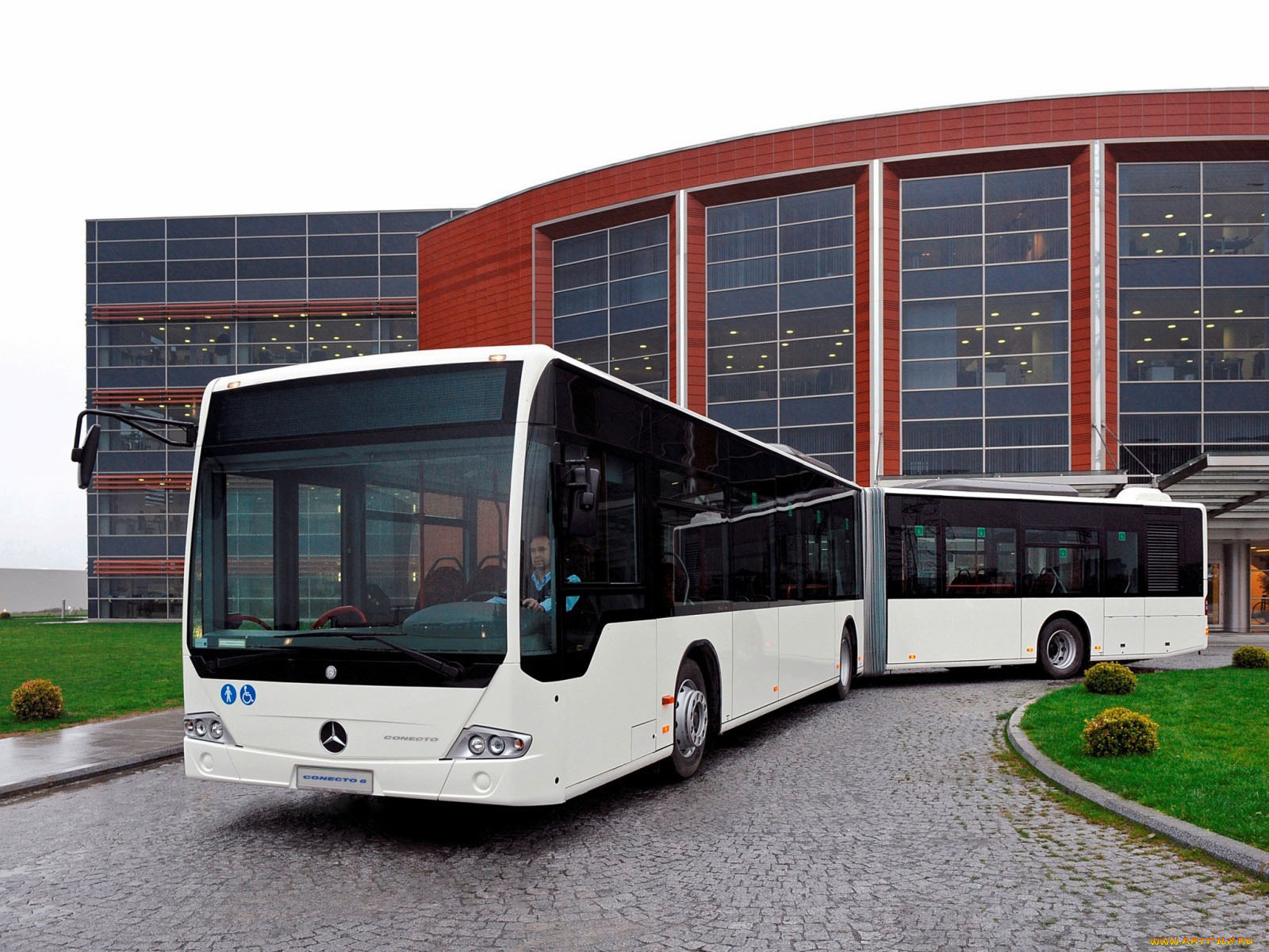 автомобили, автобусы