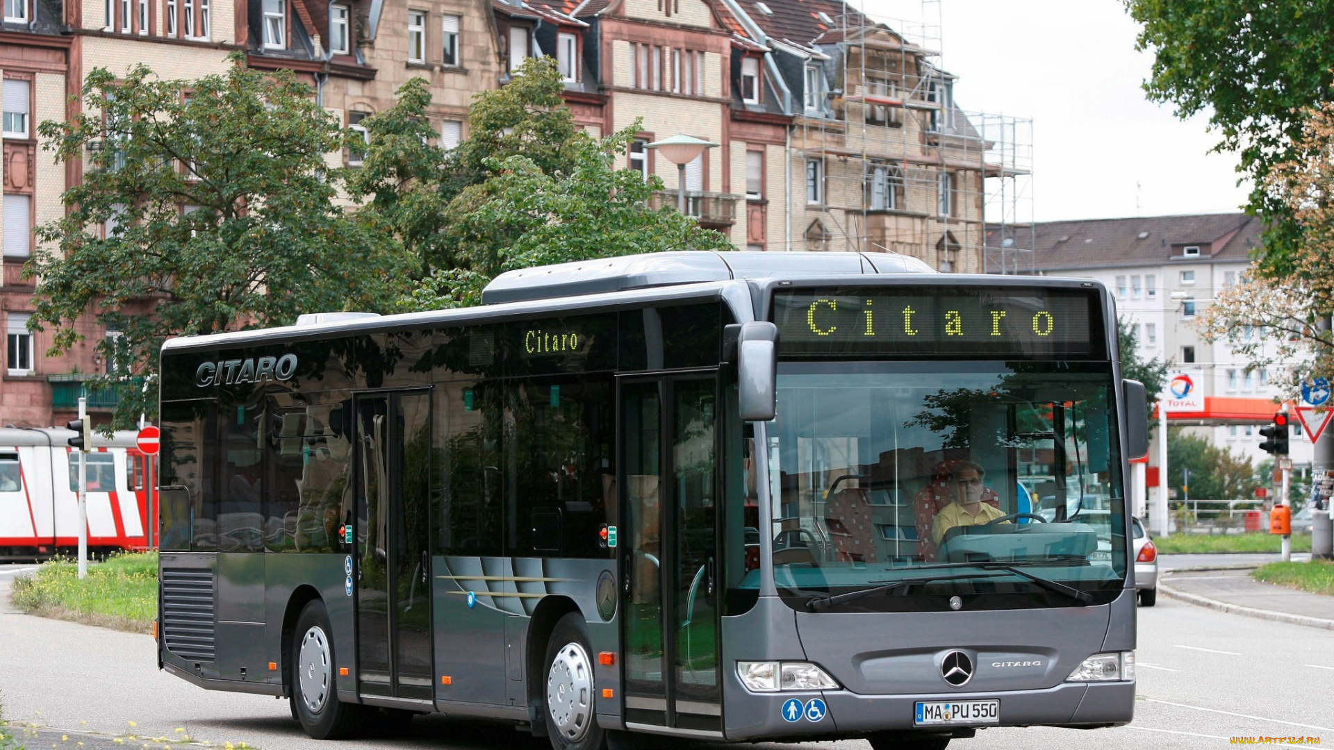 автомобили, автобусы