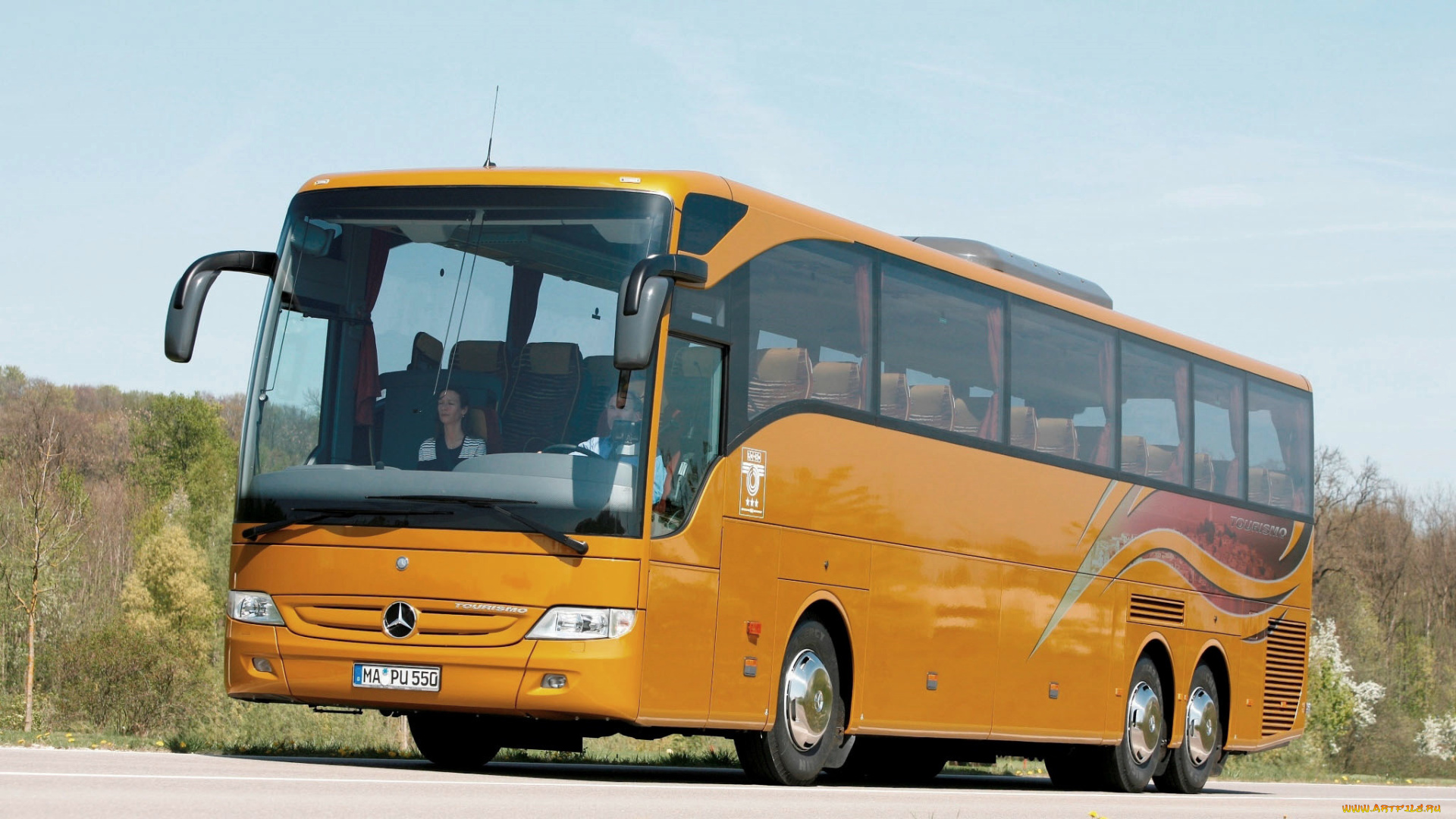 автомобили, автобусы