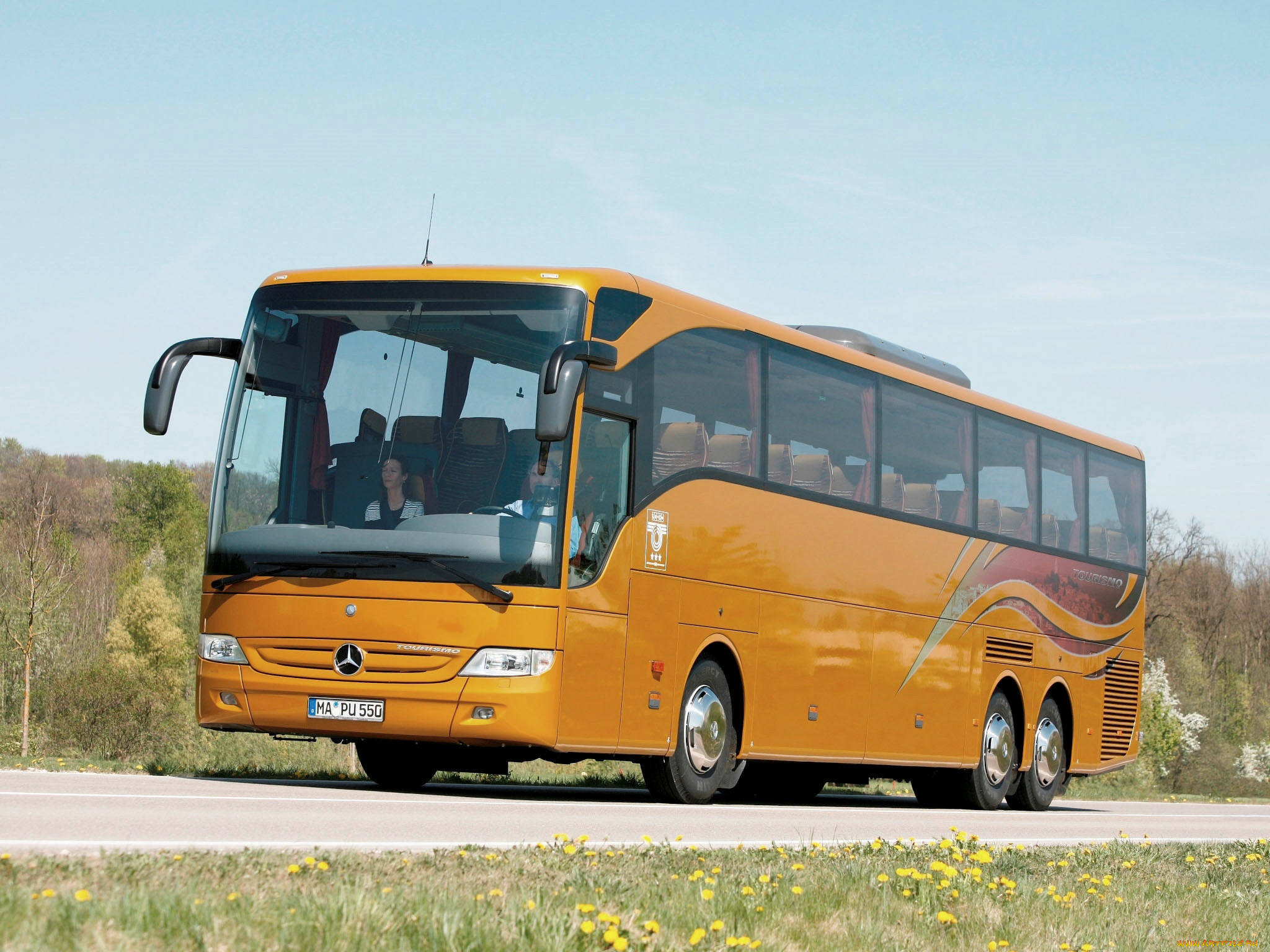 автомобили, автобусы