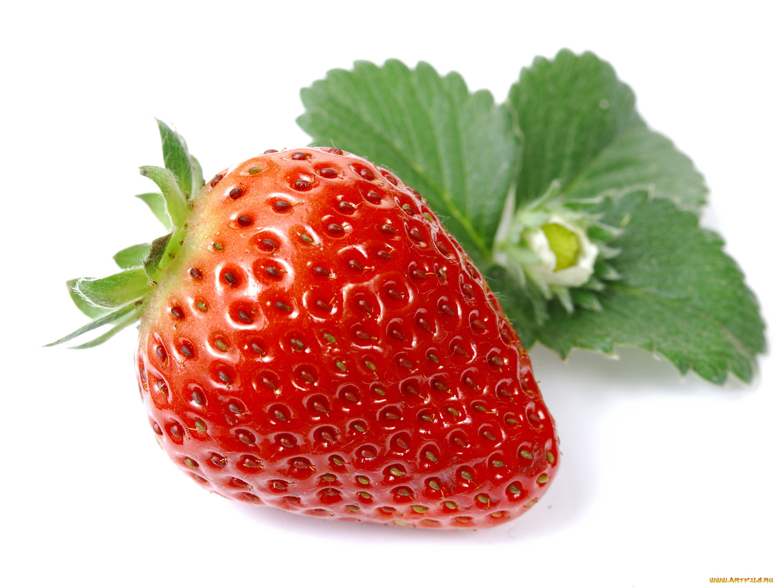 еда, клубника, земляника