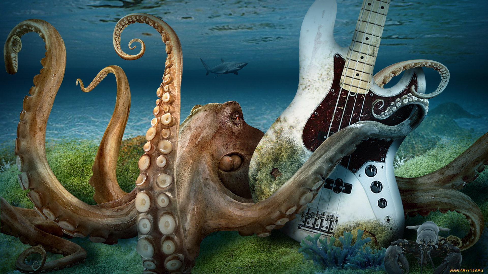 3д, графика, animals, животные