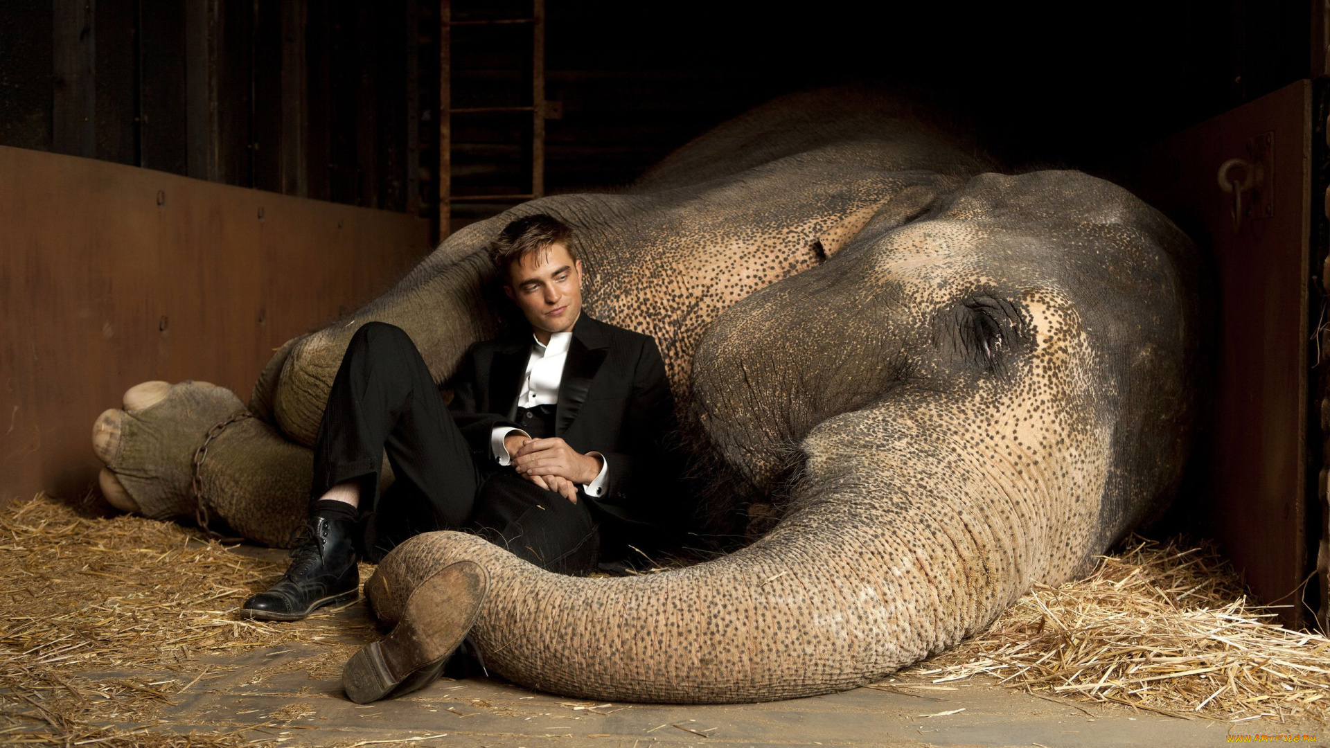 water, for, elephants, кино, фильмы