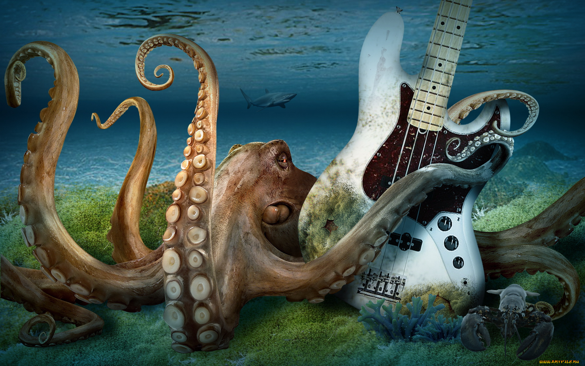 3д, графика, animals, животные