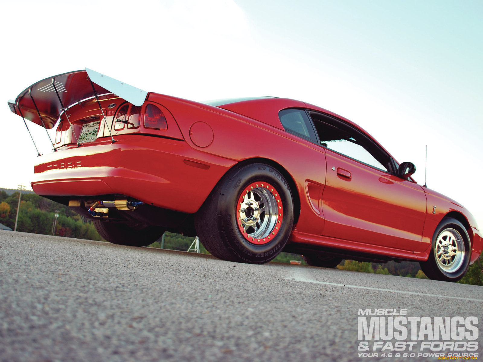 автомобили, hotrod, dragster, mustang