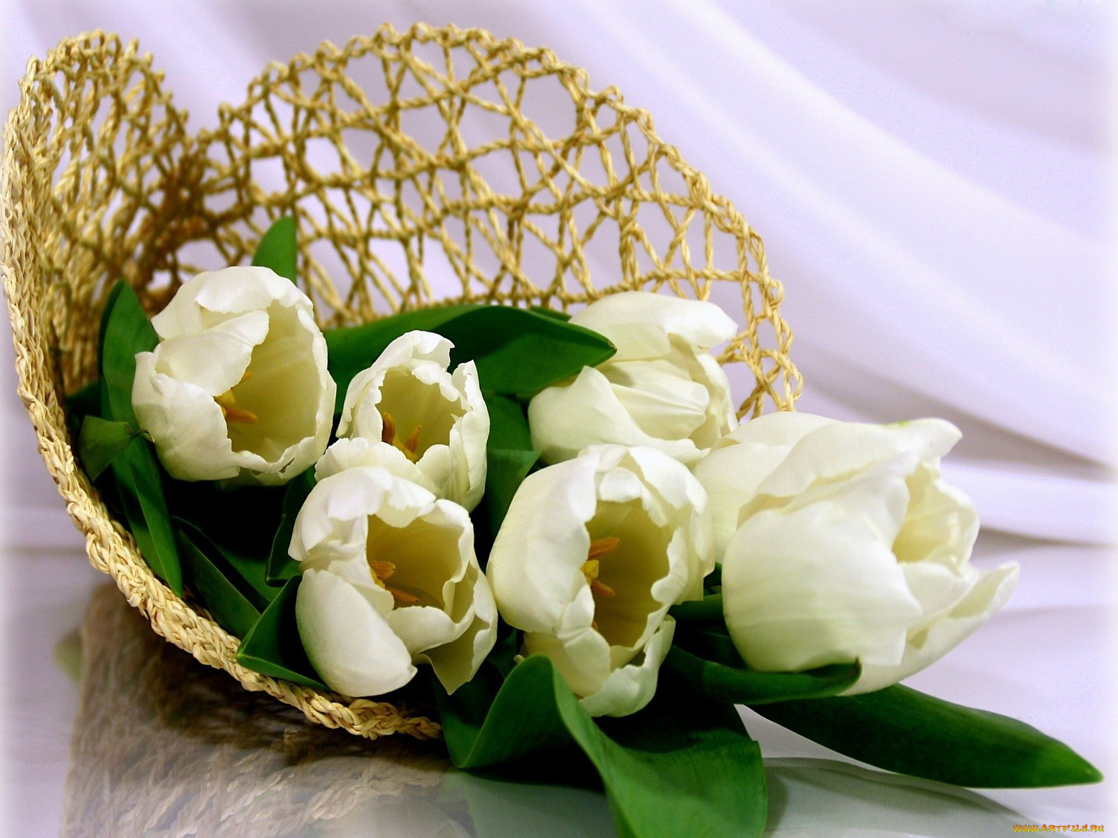 цветы, тюльпаны, корзинка