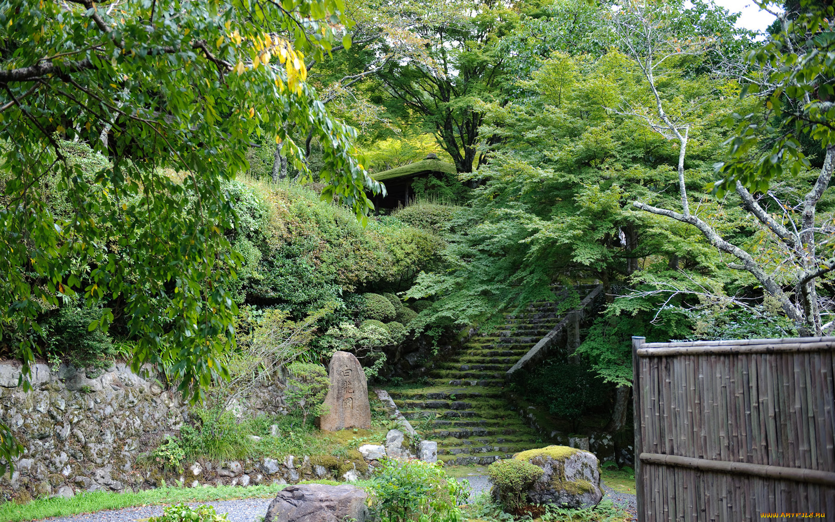 природа, парк, лестница