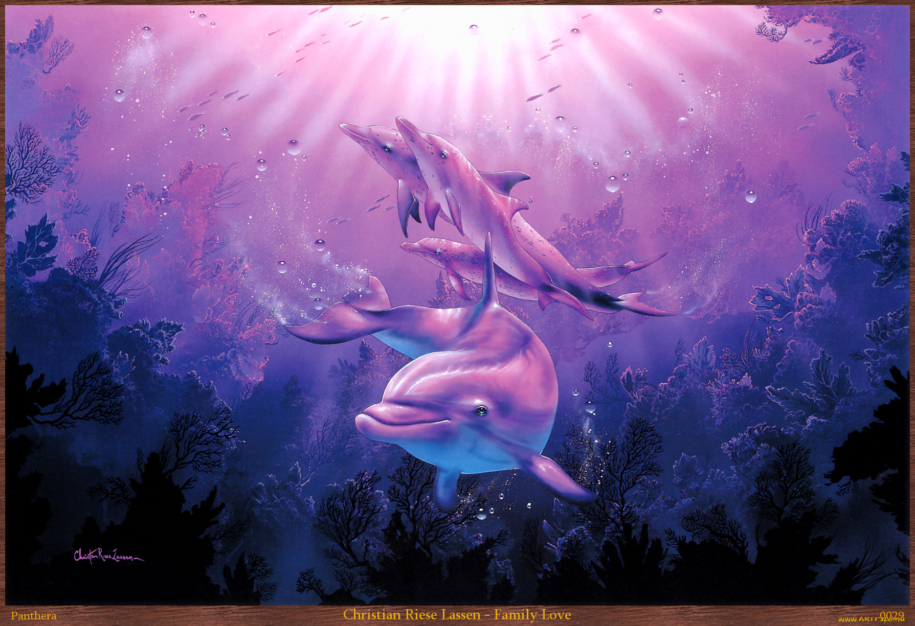 christian, riese, lassen, family, love, рисованные, кораллы, морские, глубины, дельфины