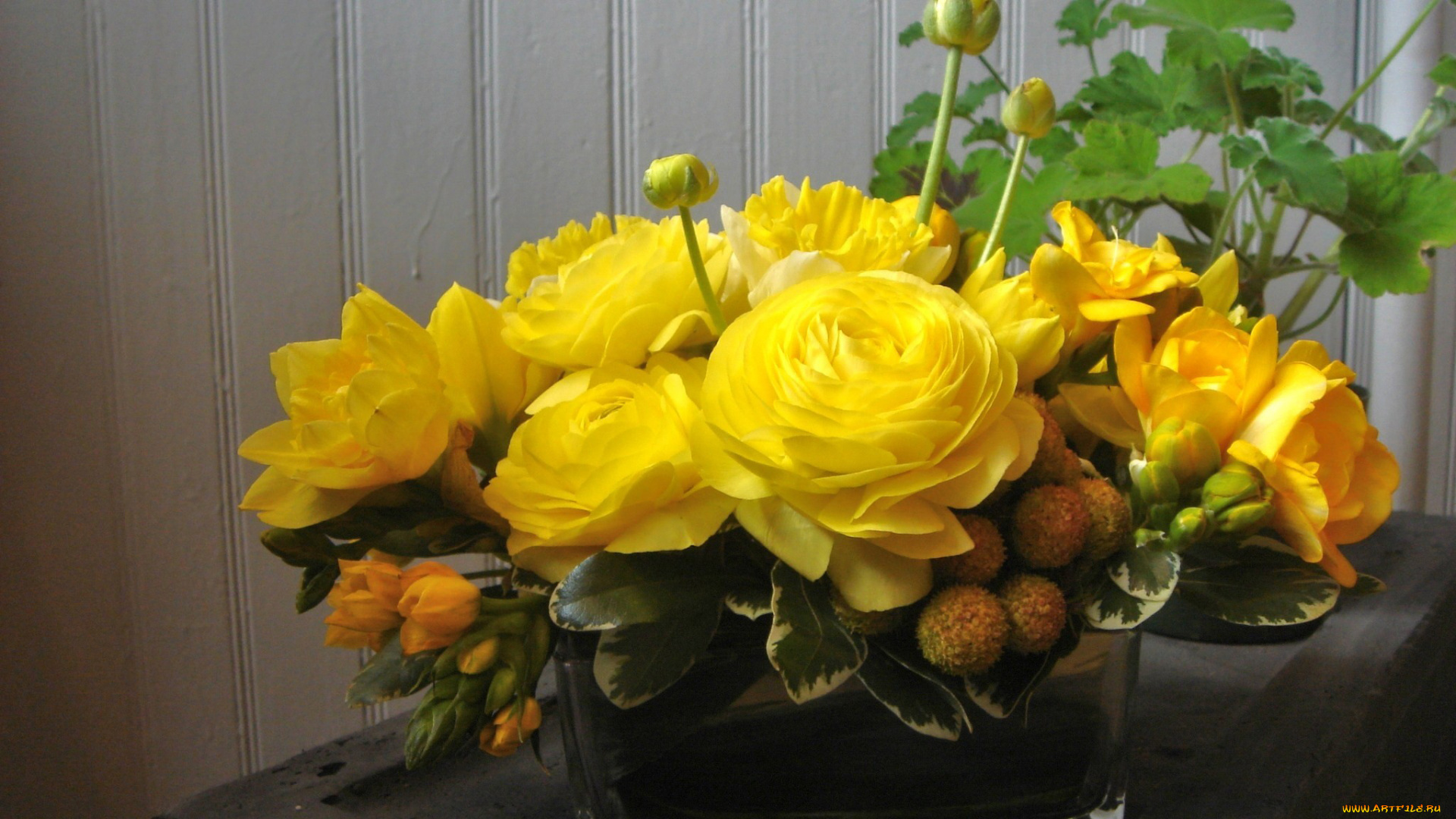 цветы, букеты, композиции, желтый