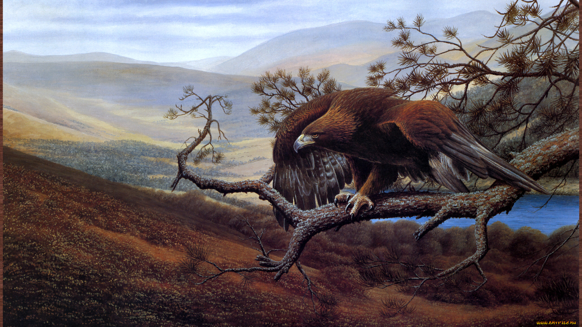 david, lawrence, sentinel, рисованные, птица, орёл, j, пейзаж, ветка
