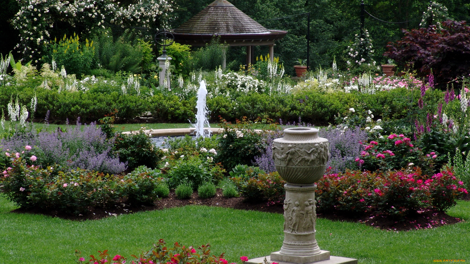 природа, парк, rose, garden, of, the, morris, arboretum, pennsylvania, usa