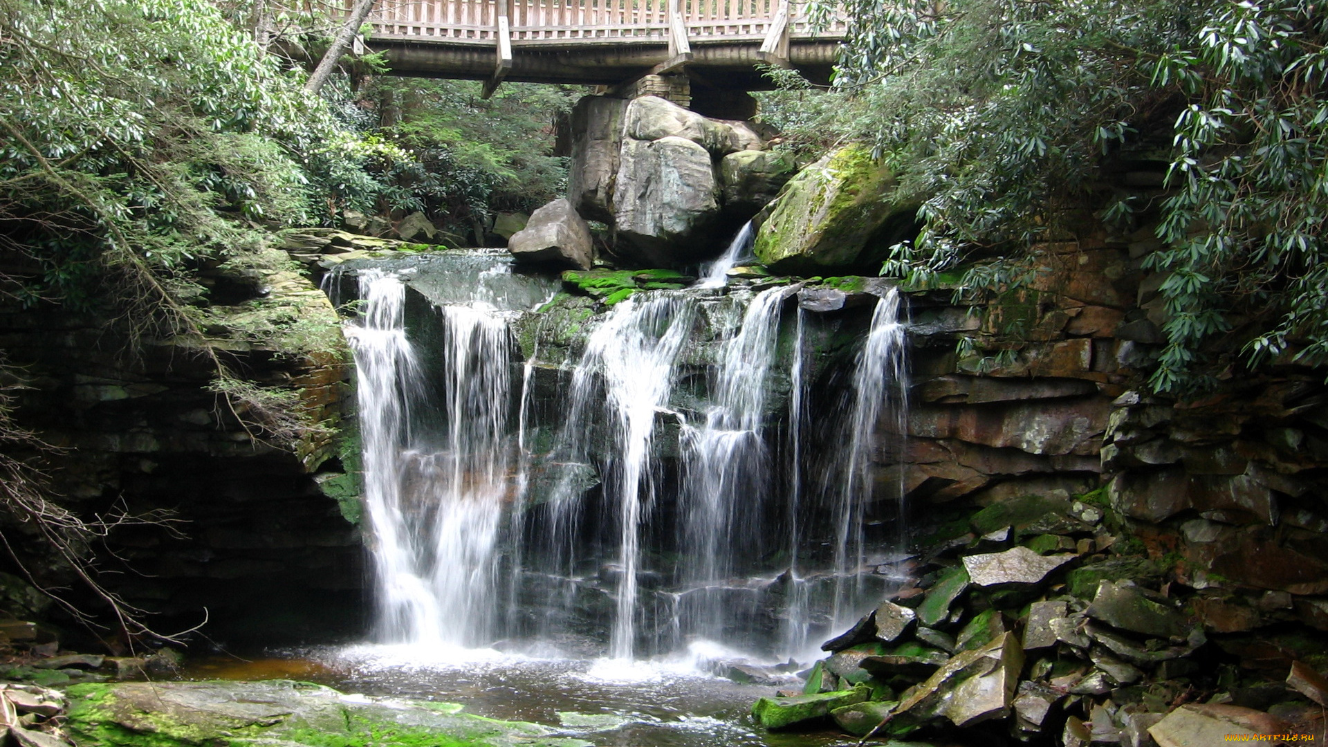 природа, водопады, blackwater, falls, state, park, elakala, usa