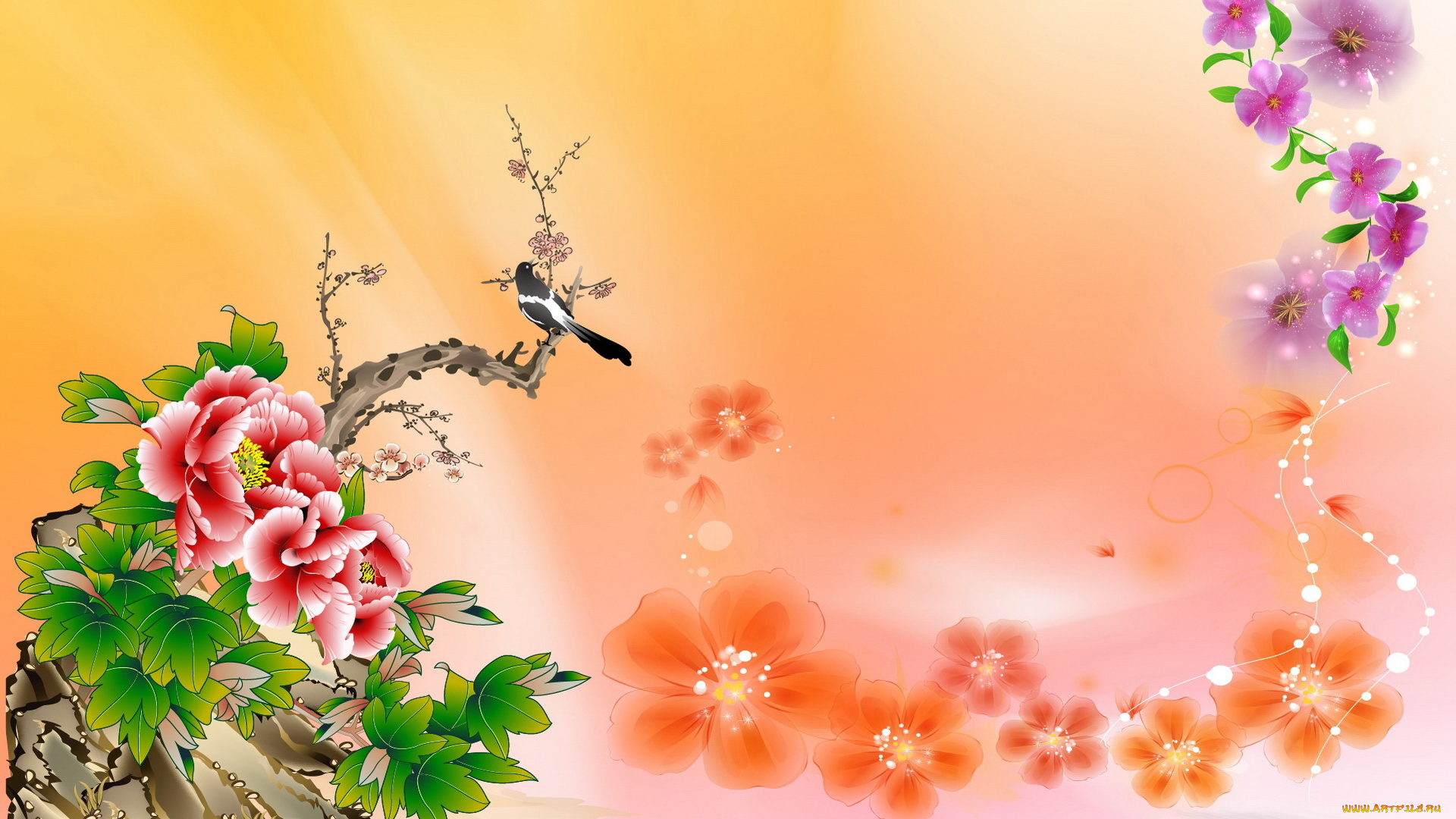 рисованные, цветы, ветка, птица, сорока