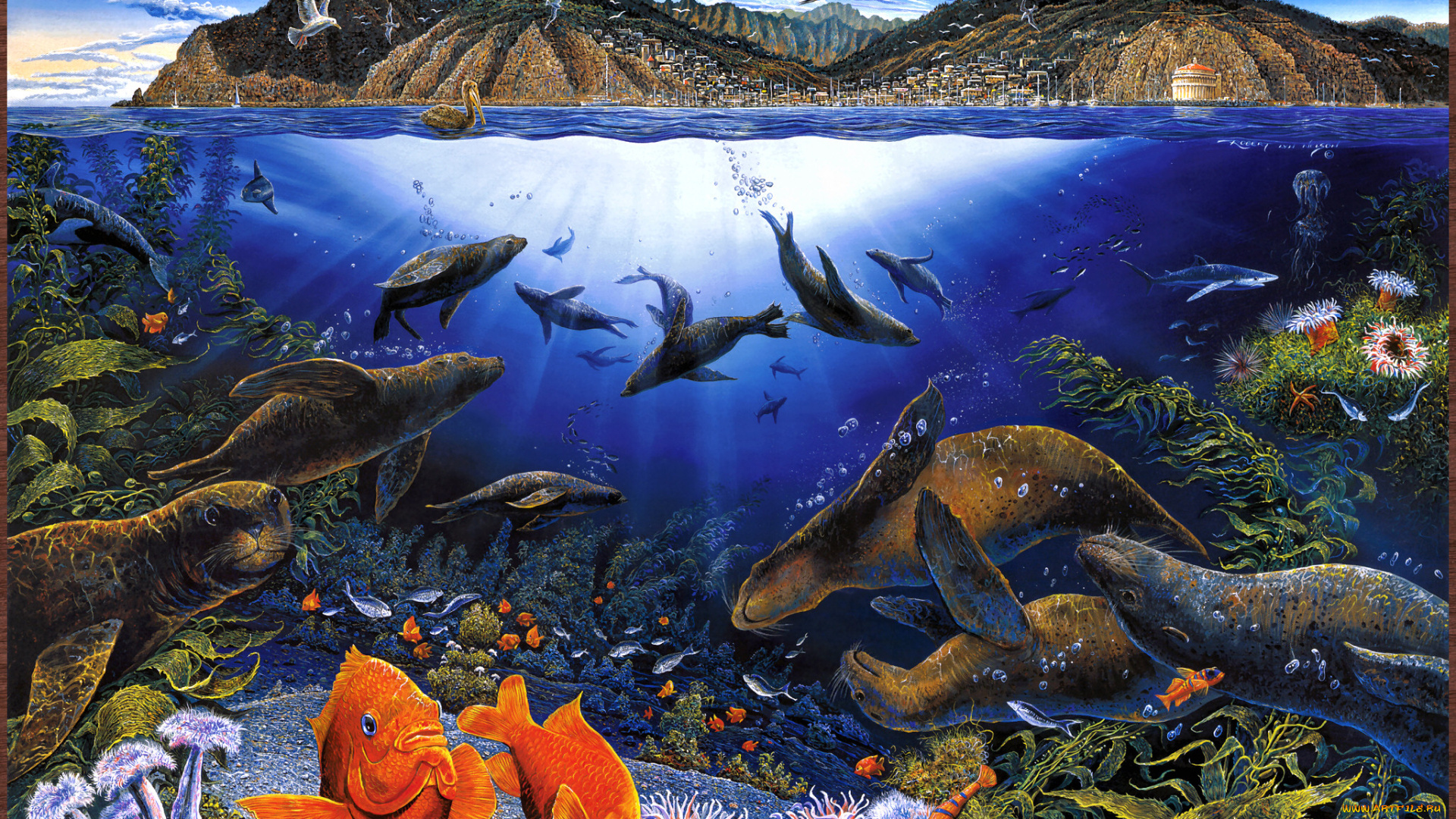 robert, lyn, nelson, avalons, offshore, playground, рисованные, акулы, городок, пейзаж, пеликаны, рыбы, птицы, чайки, горы, тюлени, морское, дно