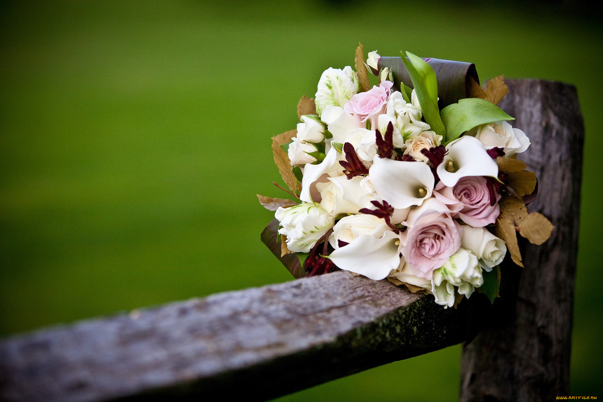 цветы, букеты, композиции, розы, забор, каллы