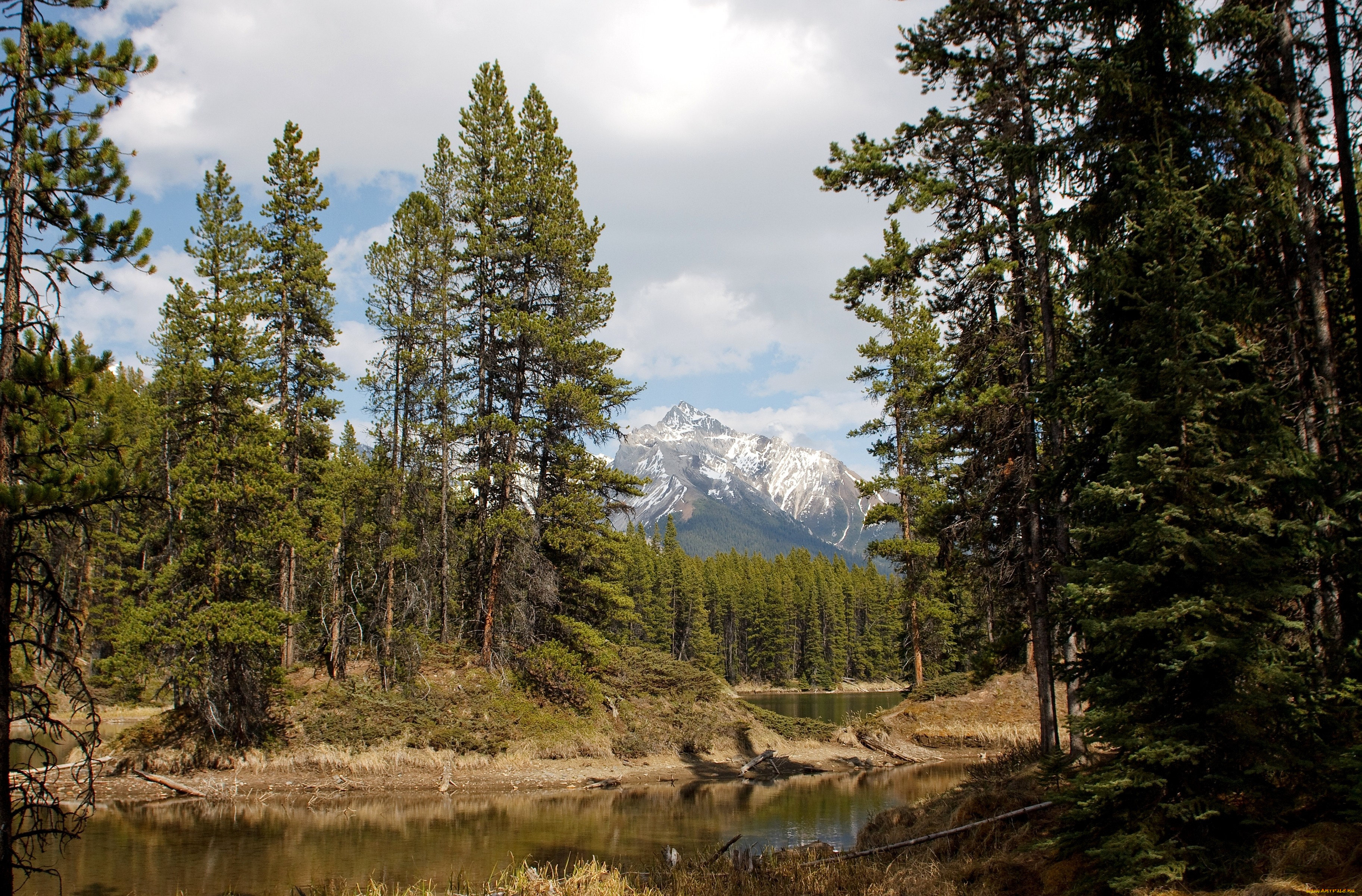 природа, деревья, лес, река, горы