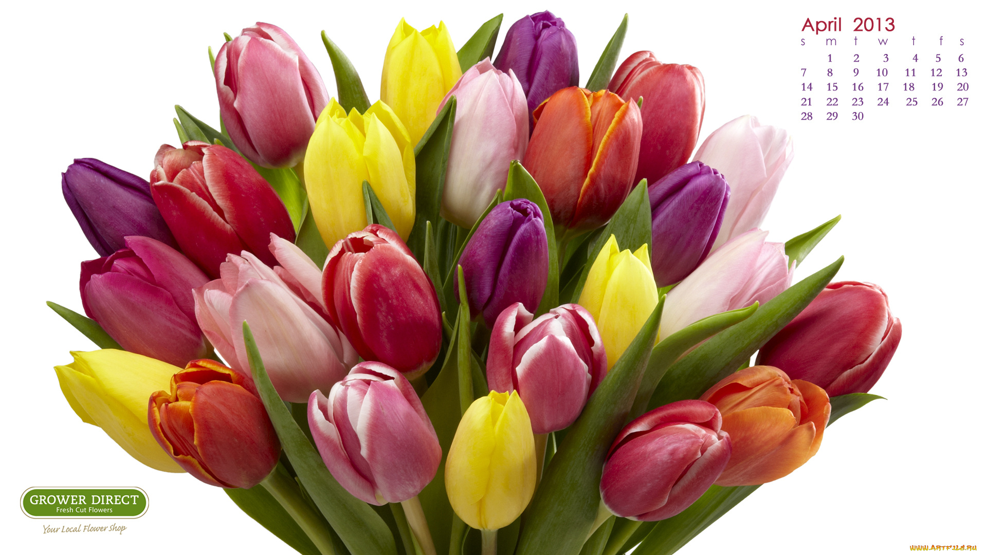 календари, цветы, букет, тюльпаны