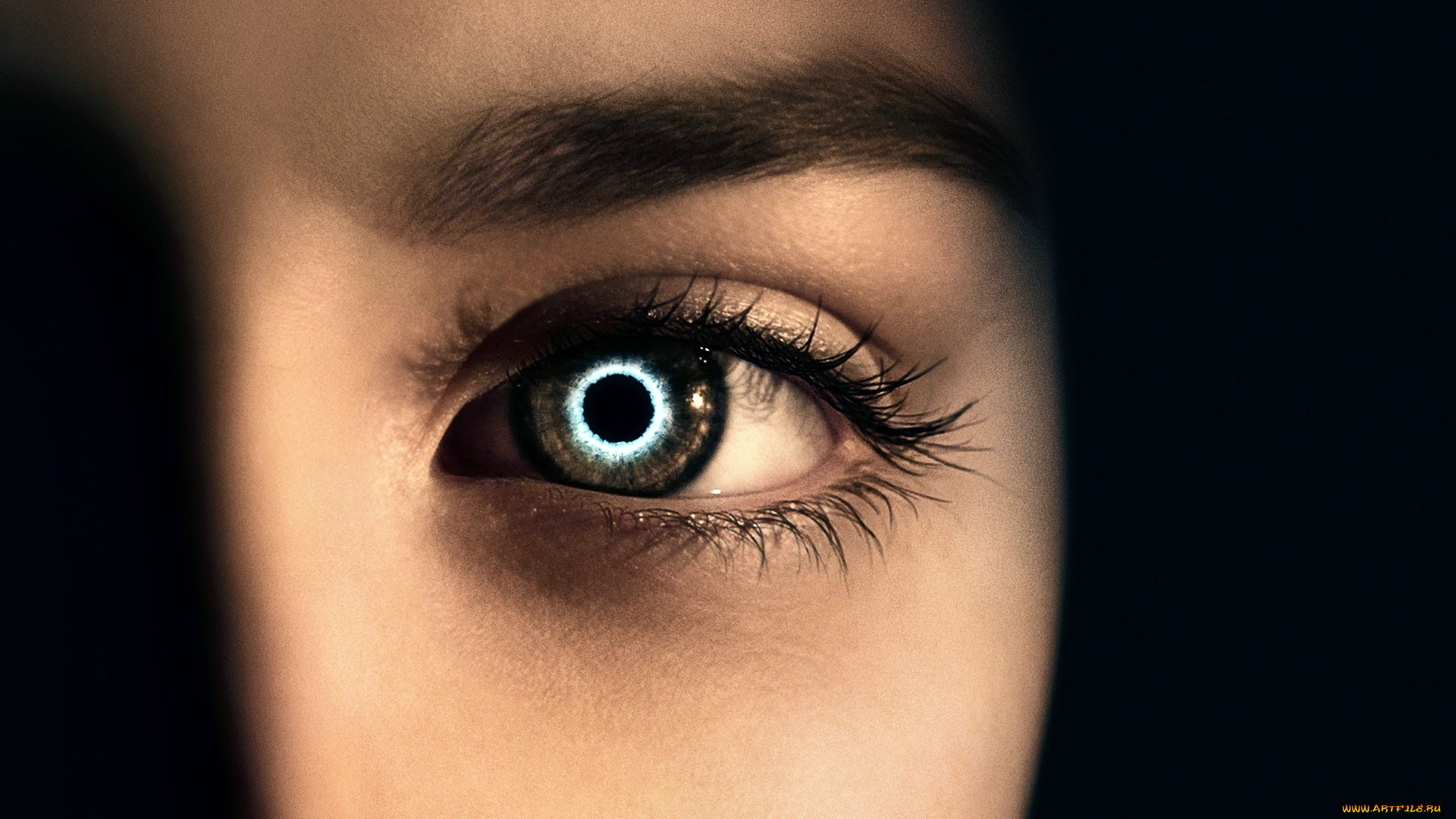 кино, фильмы, the, host