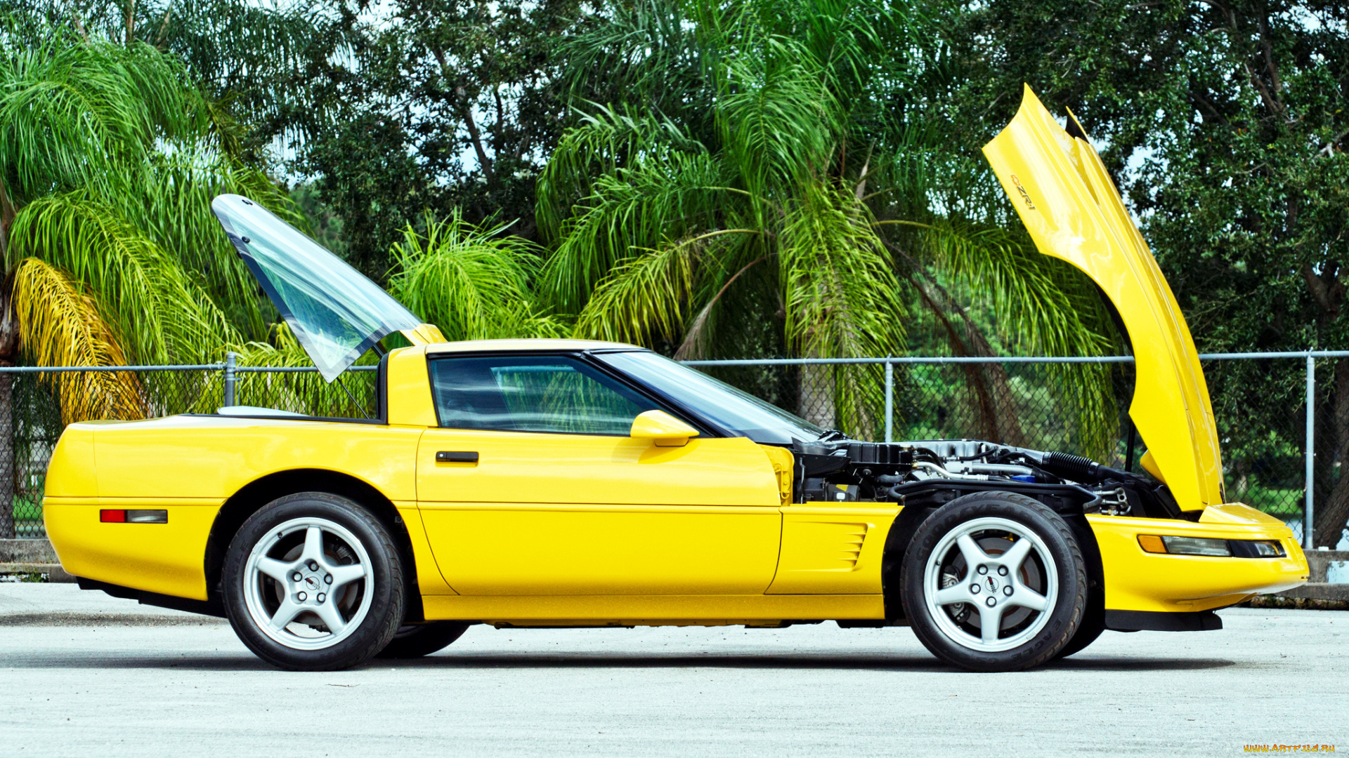 chevrolet, corvette, автомобили, corvette, general, спорткар, chevrolet, сша, motors