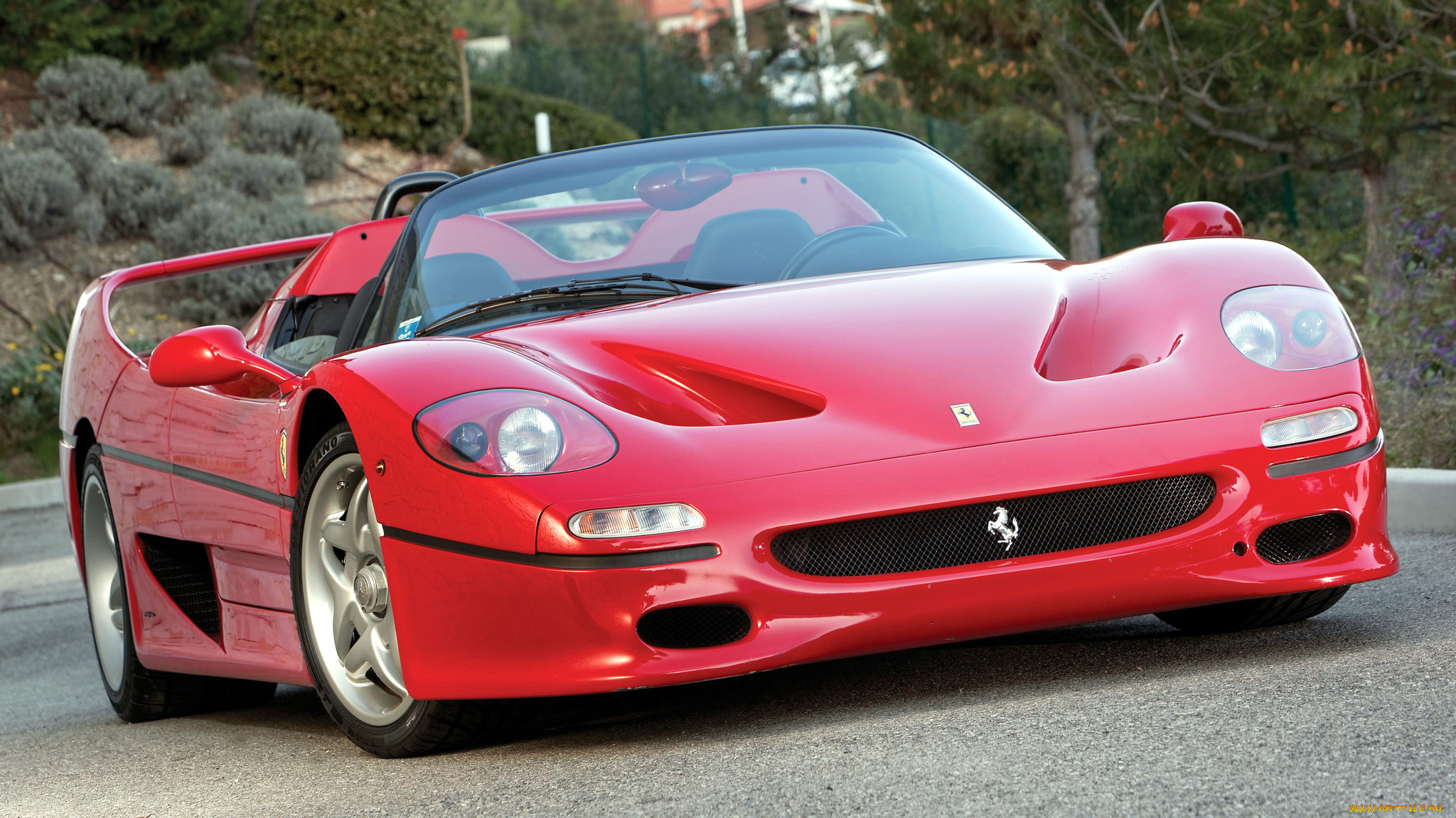 ferrari, f50, автомобили, ferrari, италия, спортивные, гоночные, s, p, a