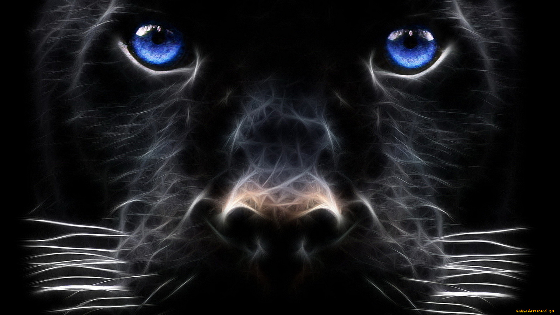 3д, графика, животные, , animals, голова, морда, пантера, усы, зверь, хищник