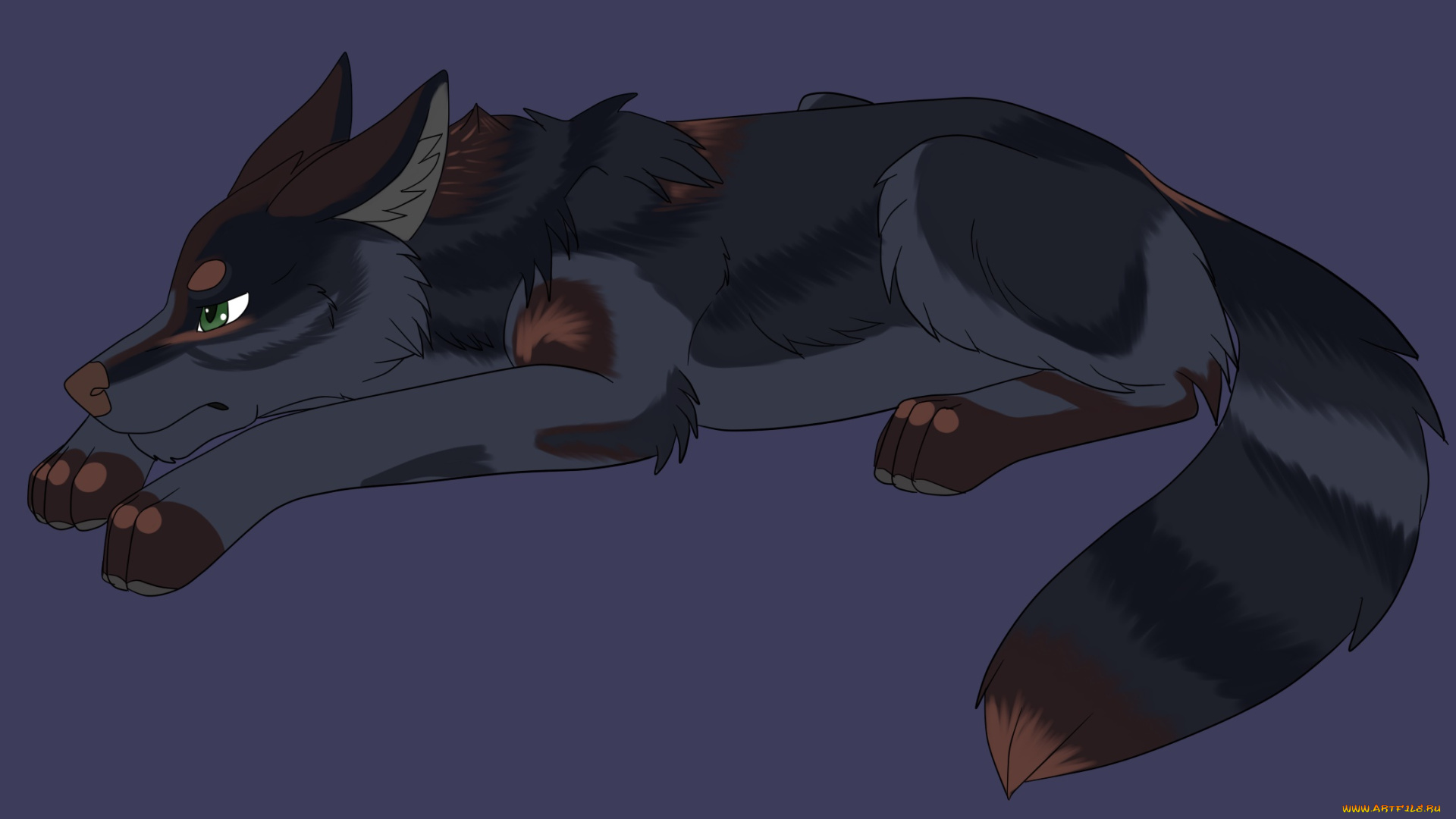 рисованное, животные, , собаки, собака, взгляд, фон