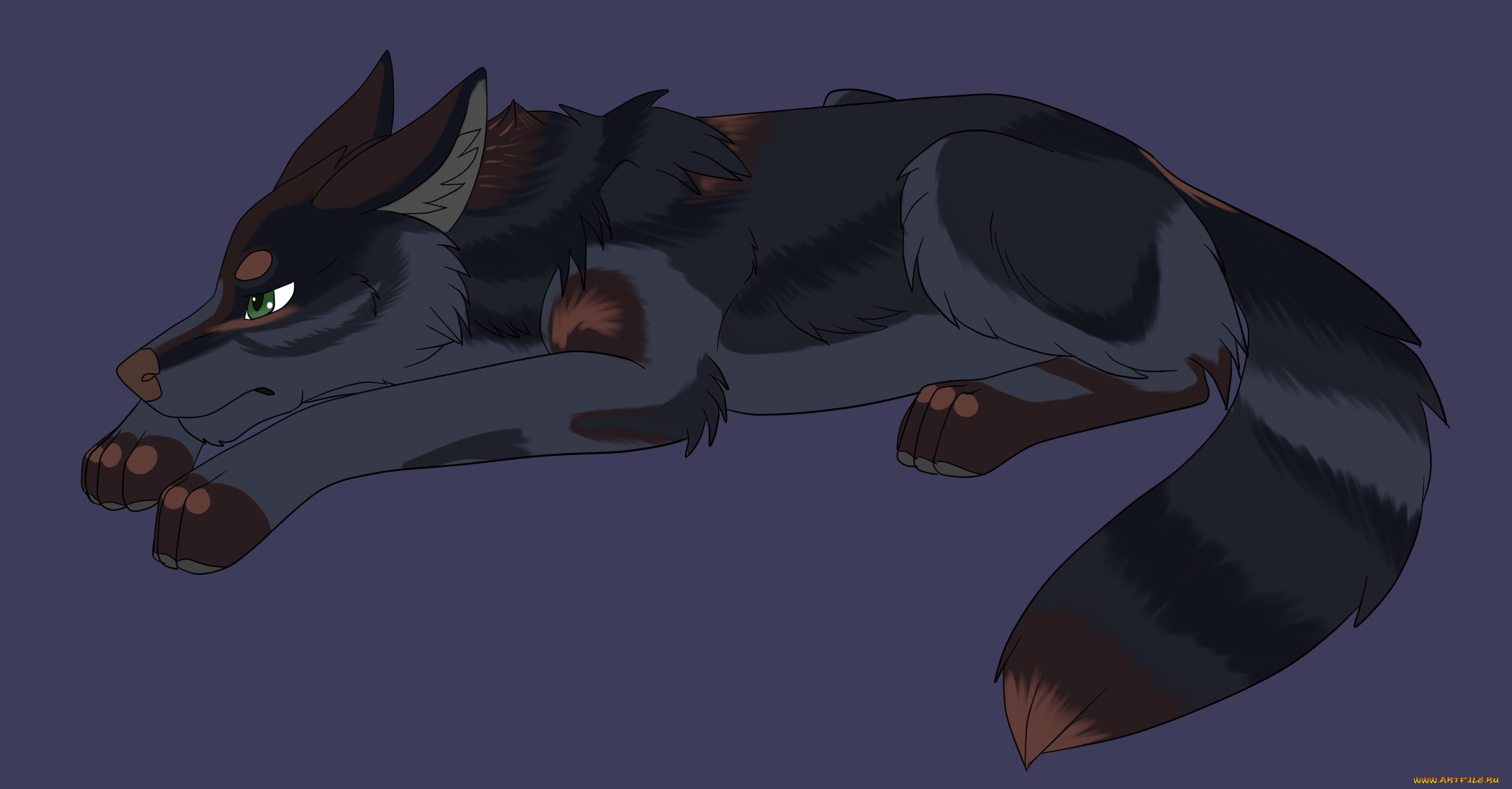 рисованное, животные, , собаки, собака, взгляд, фон