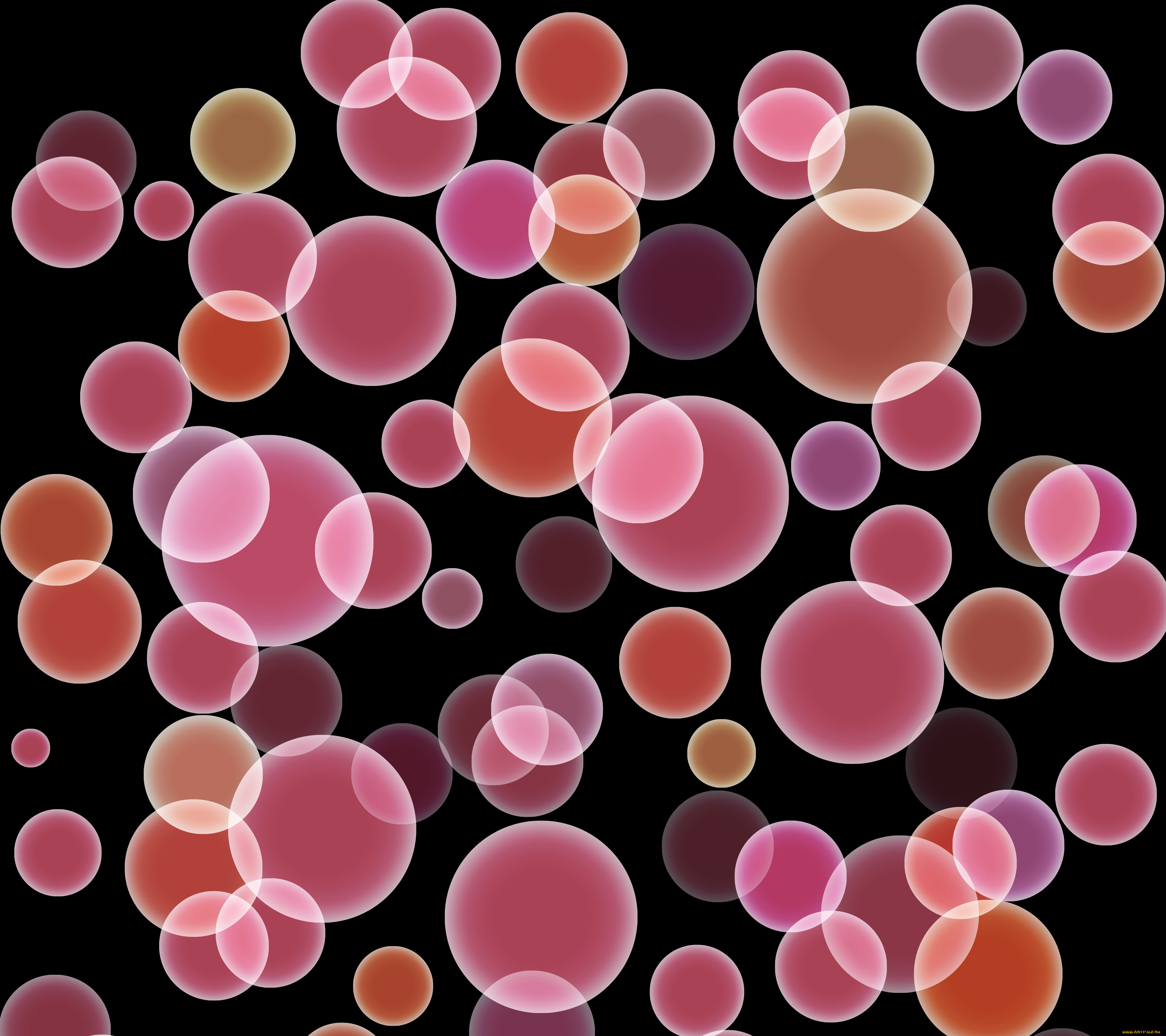 векторная, графика, графика, , graphics, форма, цвет, абстракция, фон