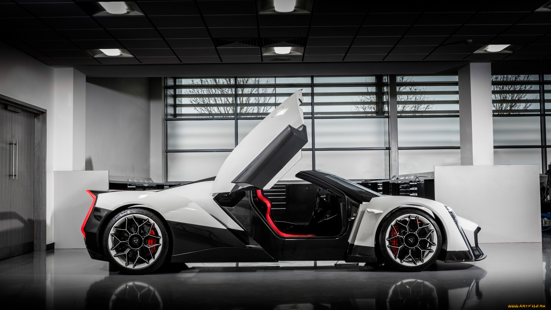 2017-vanda-dendrobium, автомобили, -unsort