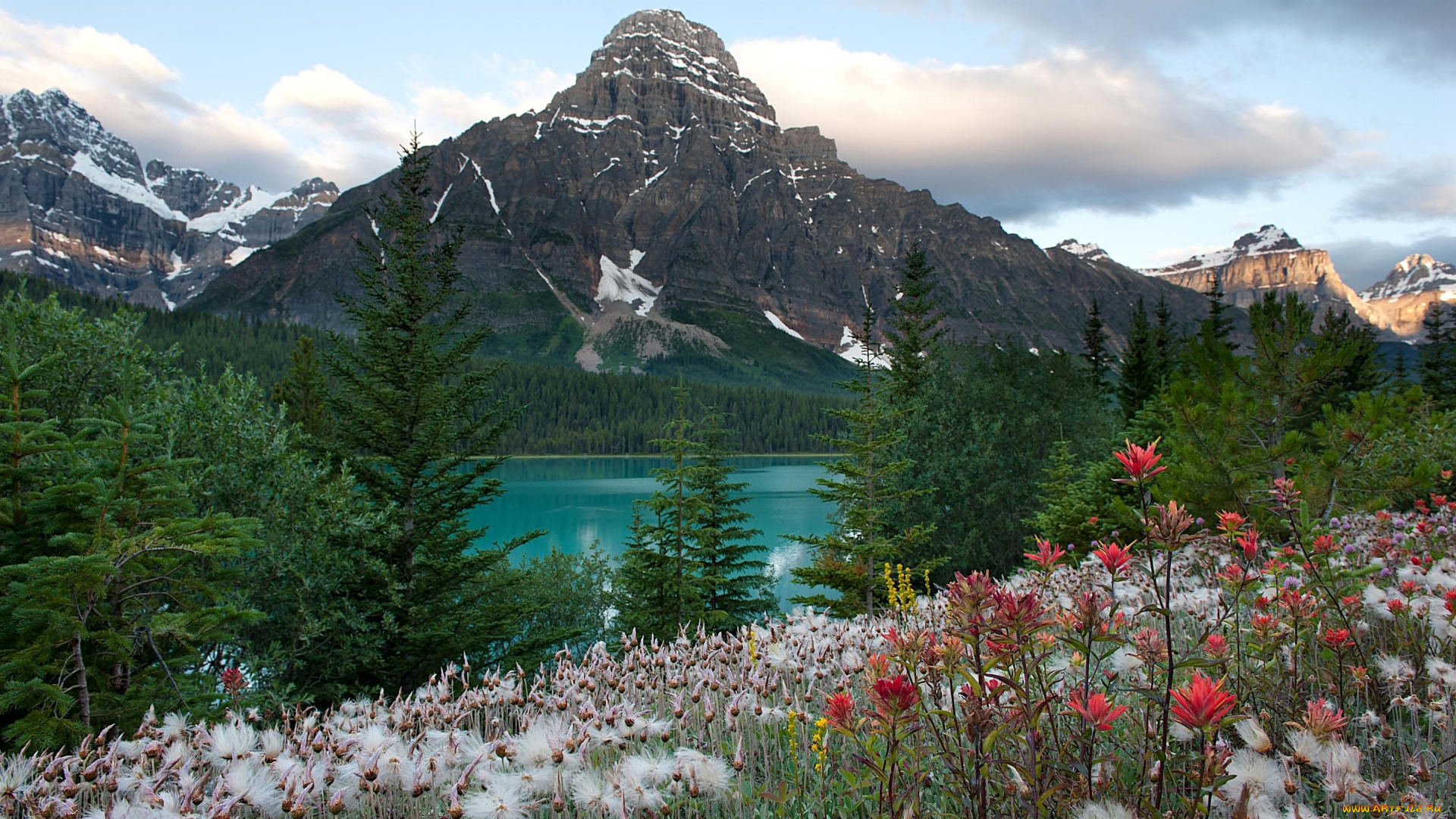 природа, пейзажи, горы, озеро, цветы