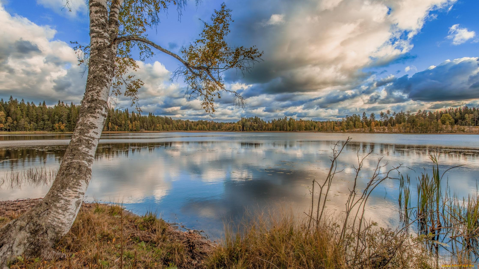 природа, реки, озера, пейзаж, деревья, озеро, осень, лес