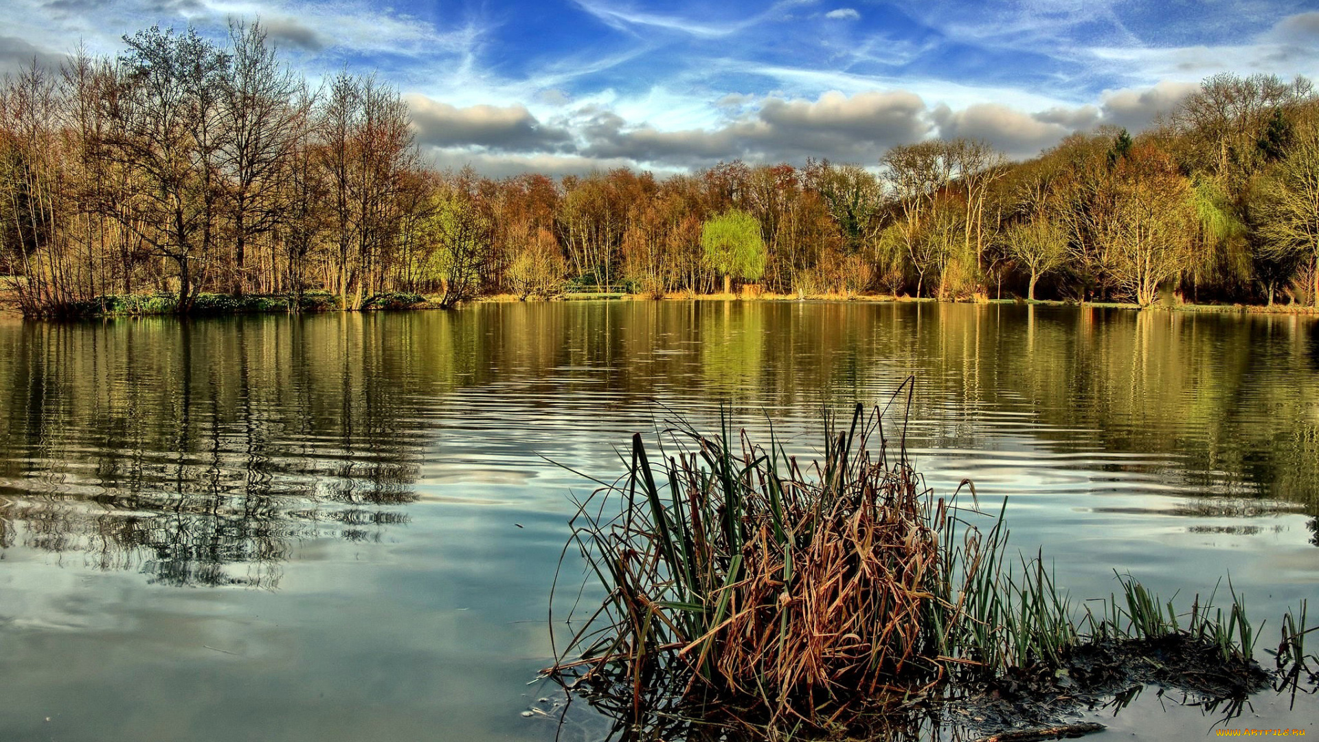 природа, реки, озера, вода, река, деревья