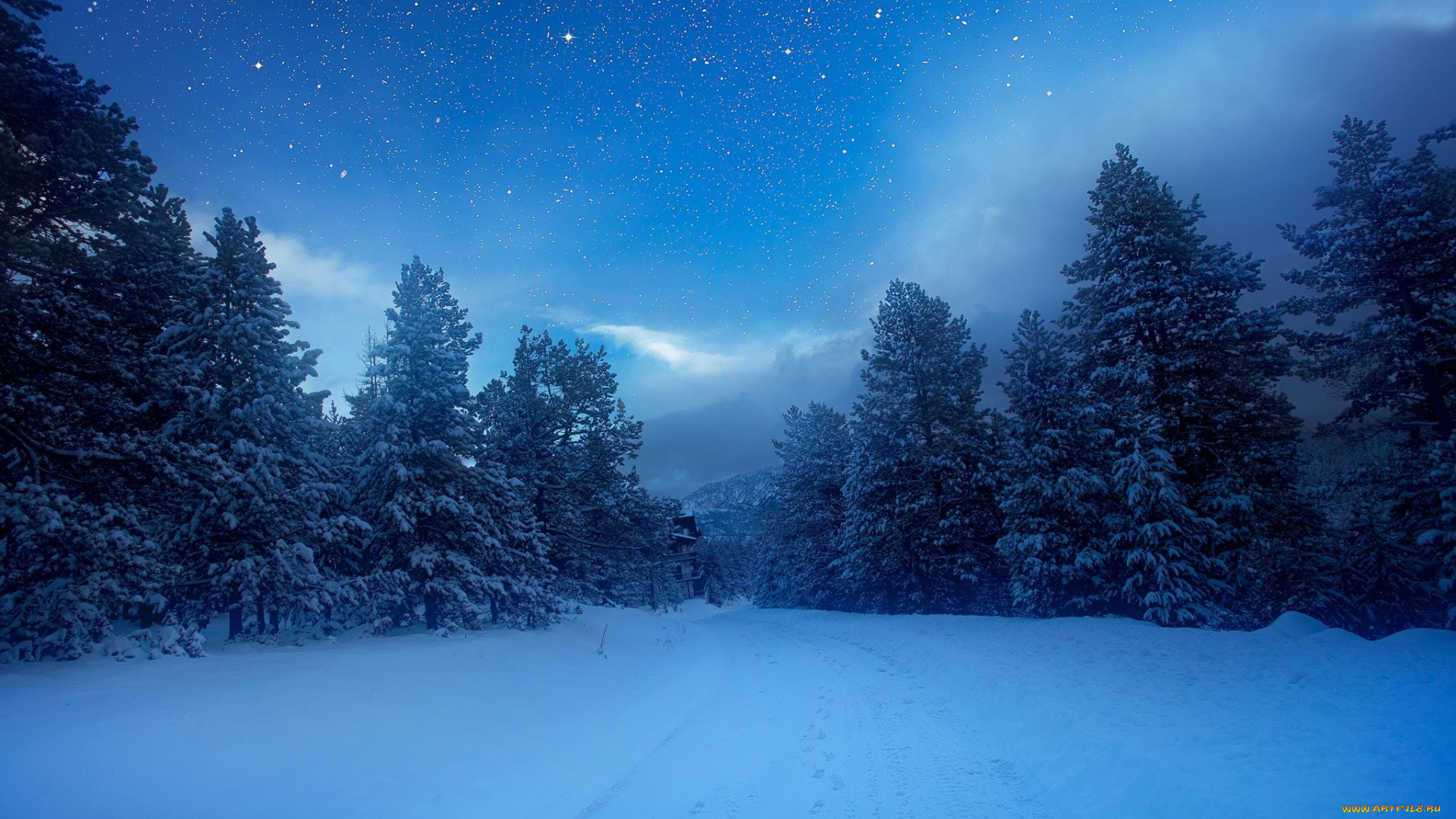 природа, зима, лес, снег, деревья, пейзаж