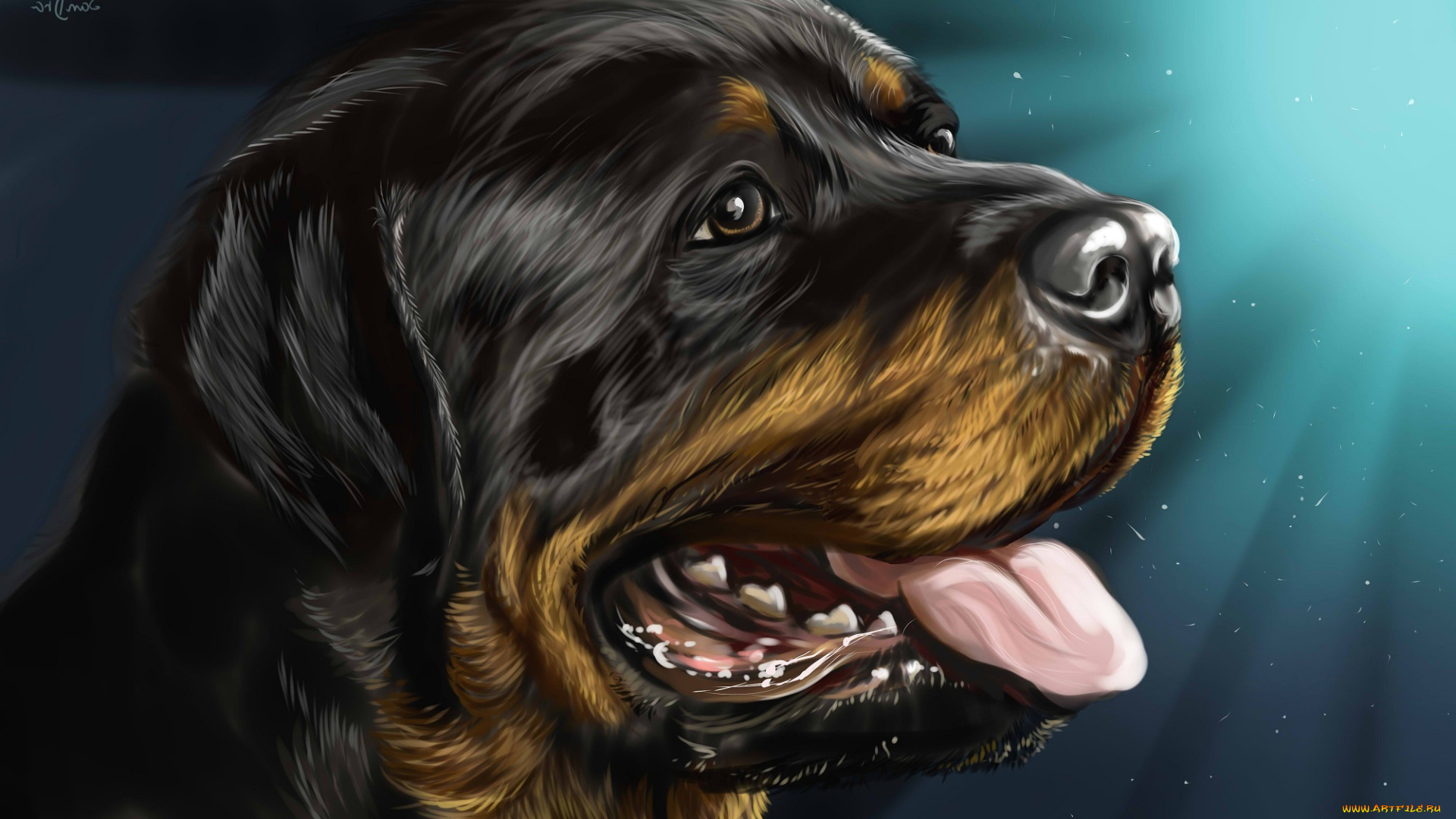 рисованное, животные, , собаки, собака, rottweiler, ротвейлер