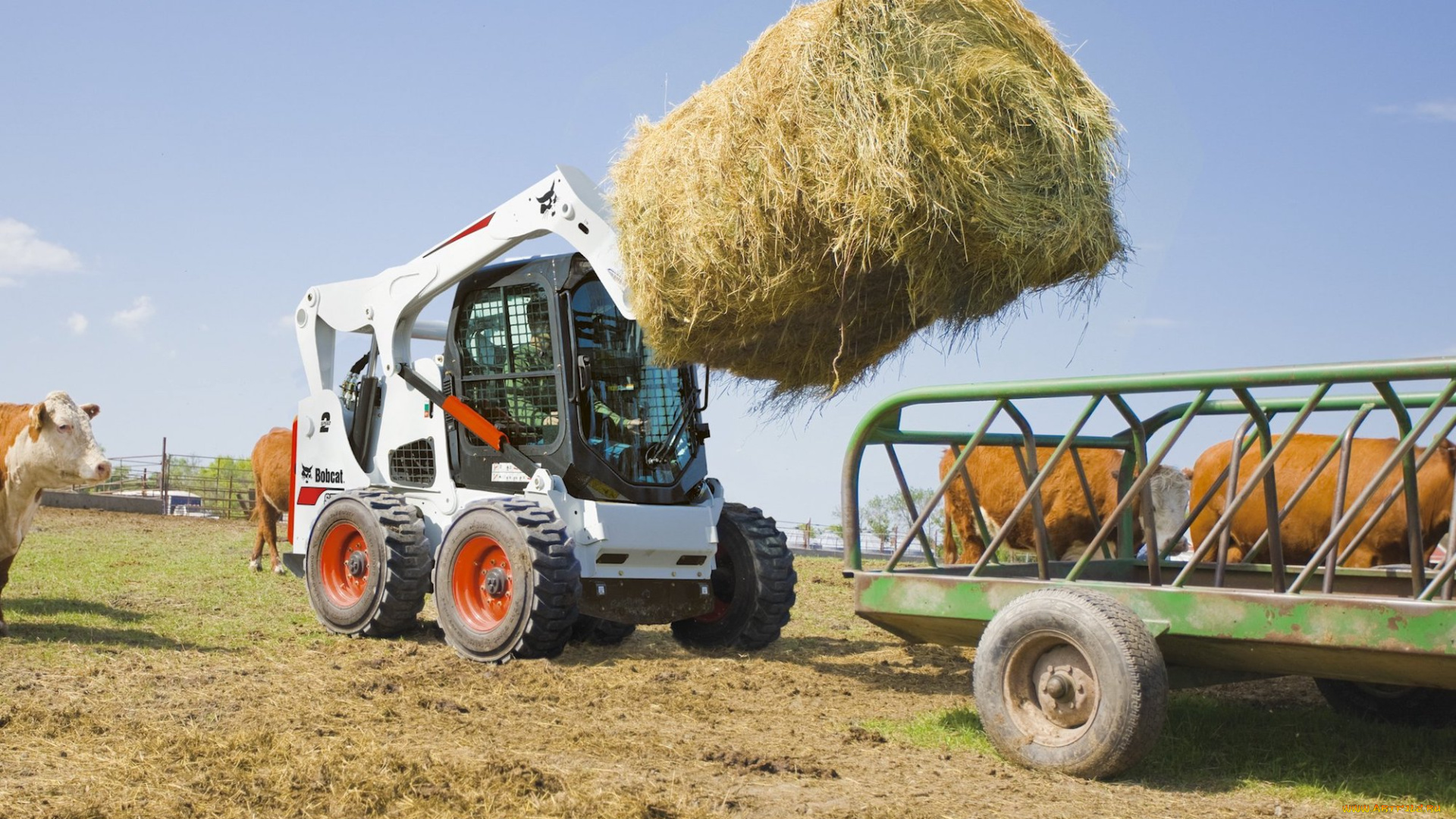 техника, фронтальные, погрузчики, bobcat
